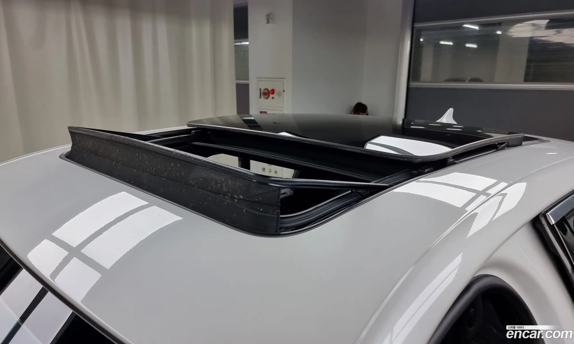 Korex Auto Trade - фотография 3932226
