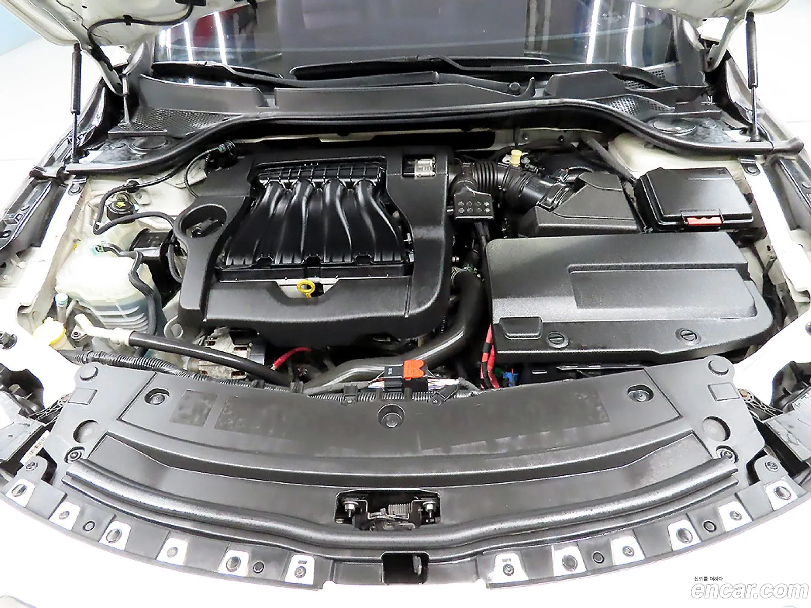 Renault Korea Samsung New Sm5 Platinum Le Basic Type - фотография 5393707