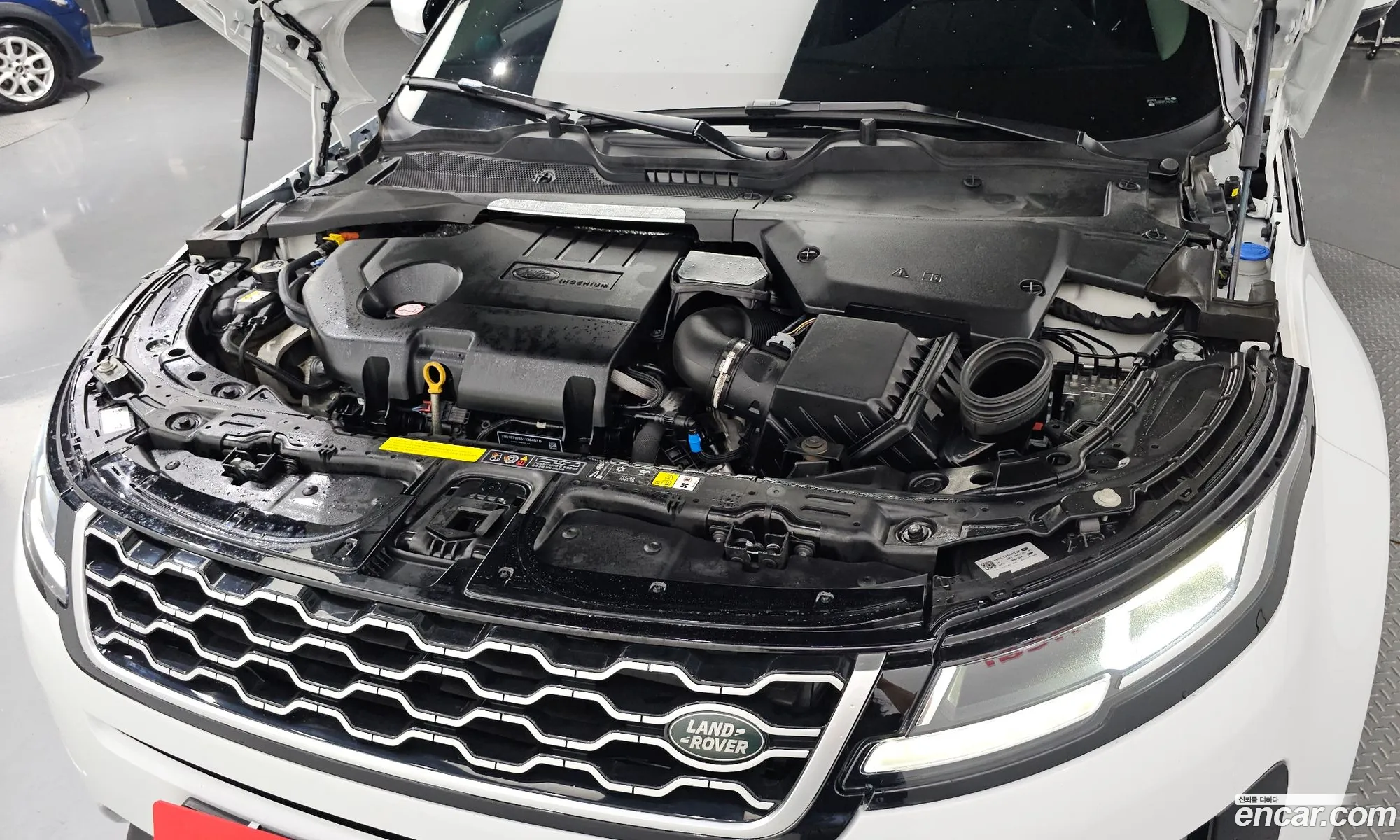 Land Rover Range Rover Evoque 2Nd Generation D150 S - фотография 7242672
