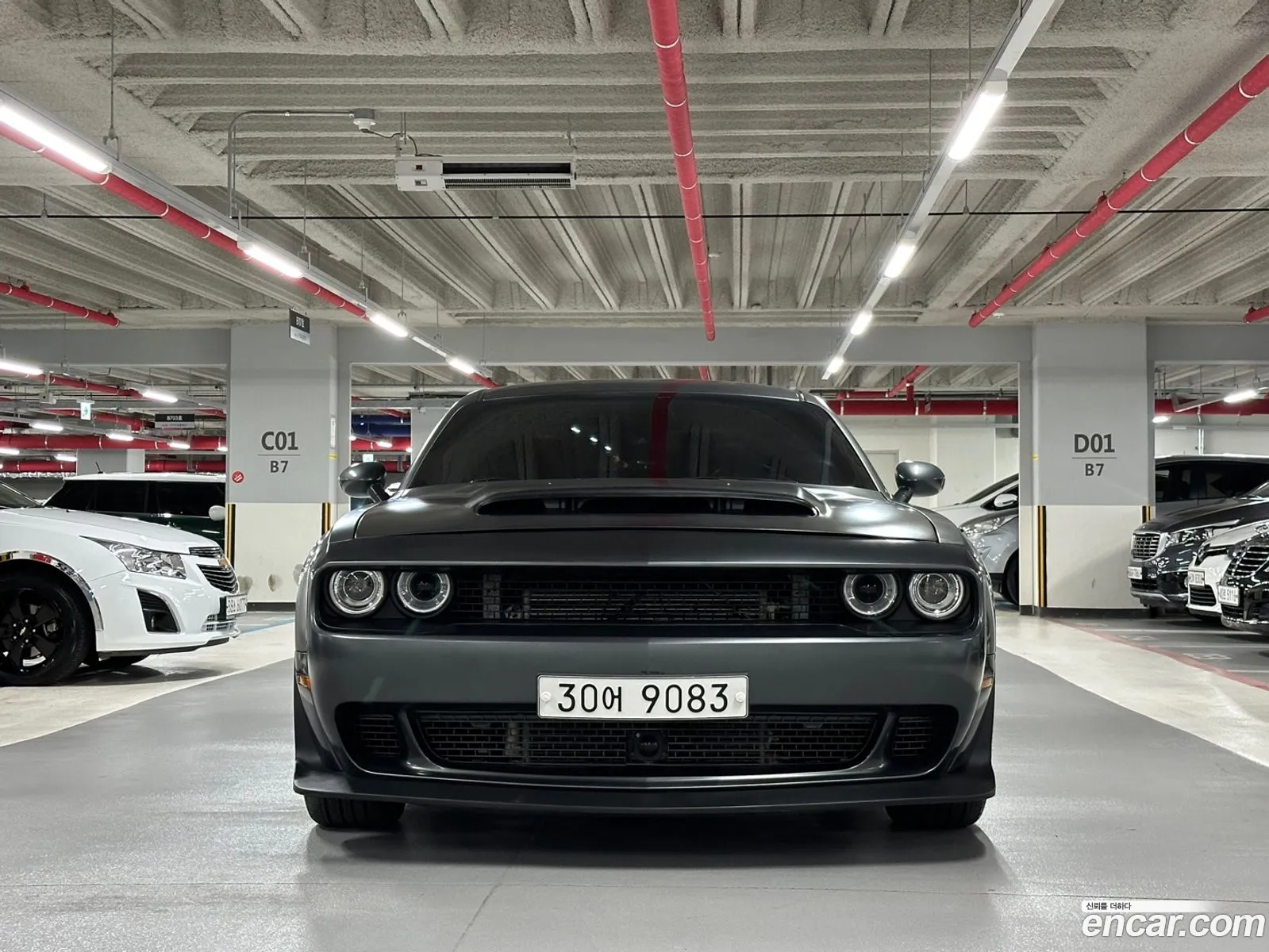 Dodge Challenger 64 - фотография 3543594