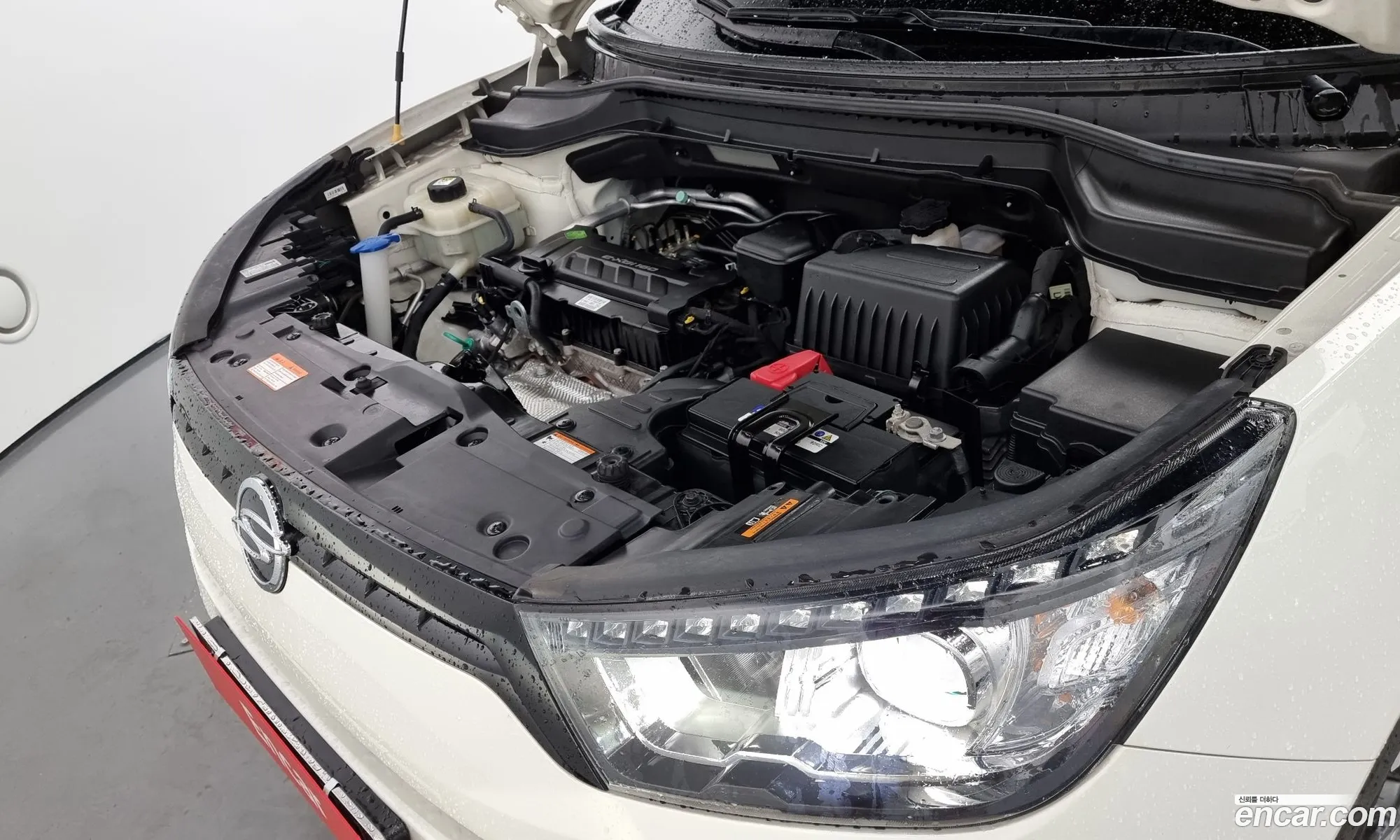 Kg Mobility Ssangyong Tivoli Vx 2Wd - фотография 6680304
