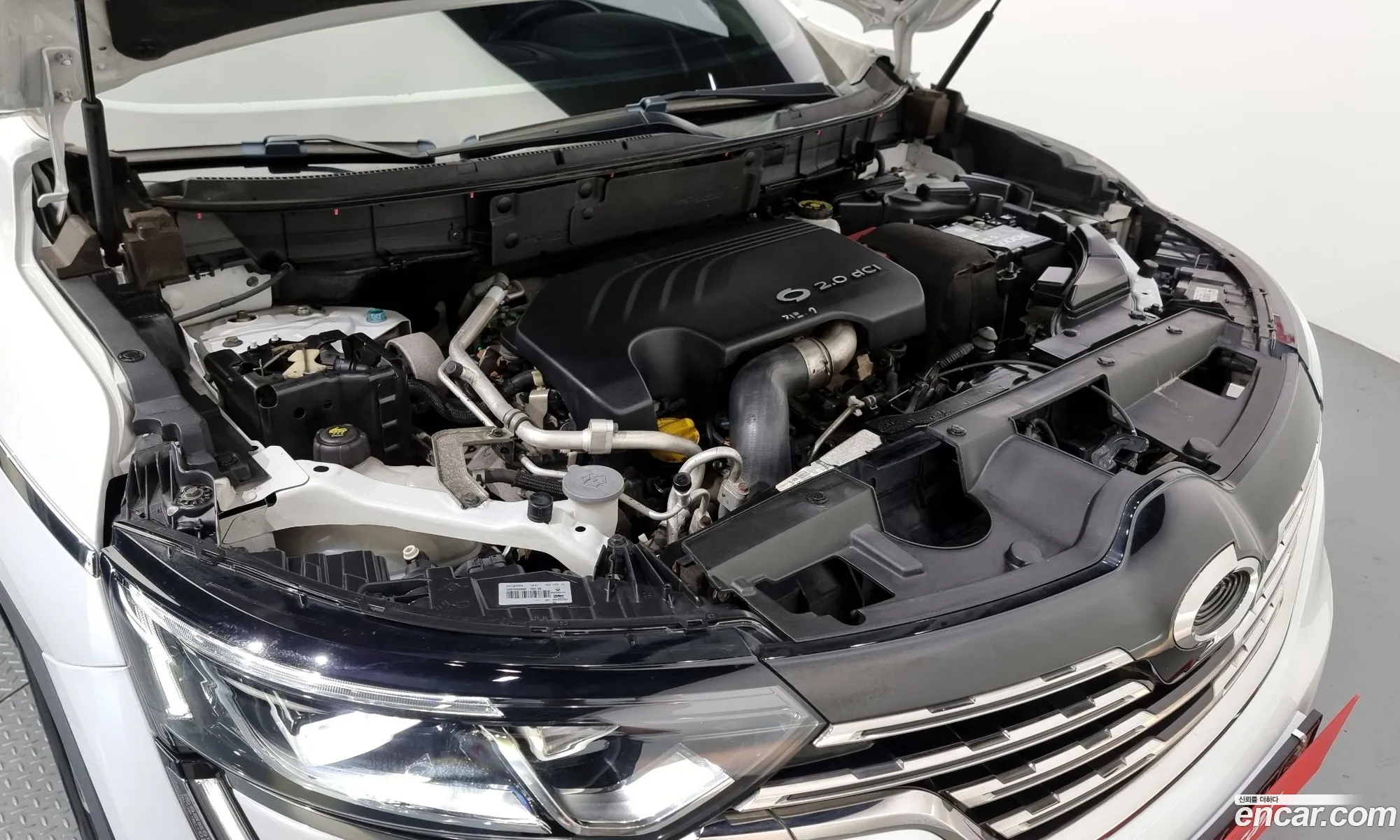 Renault Korea Samsung Qm6 Diesel 4Wd Re Signature - фотография 7619415
