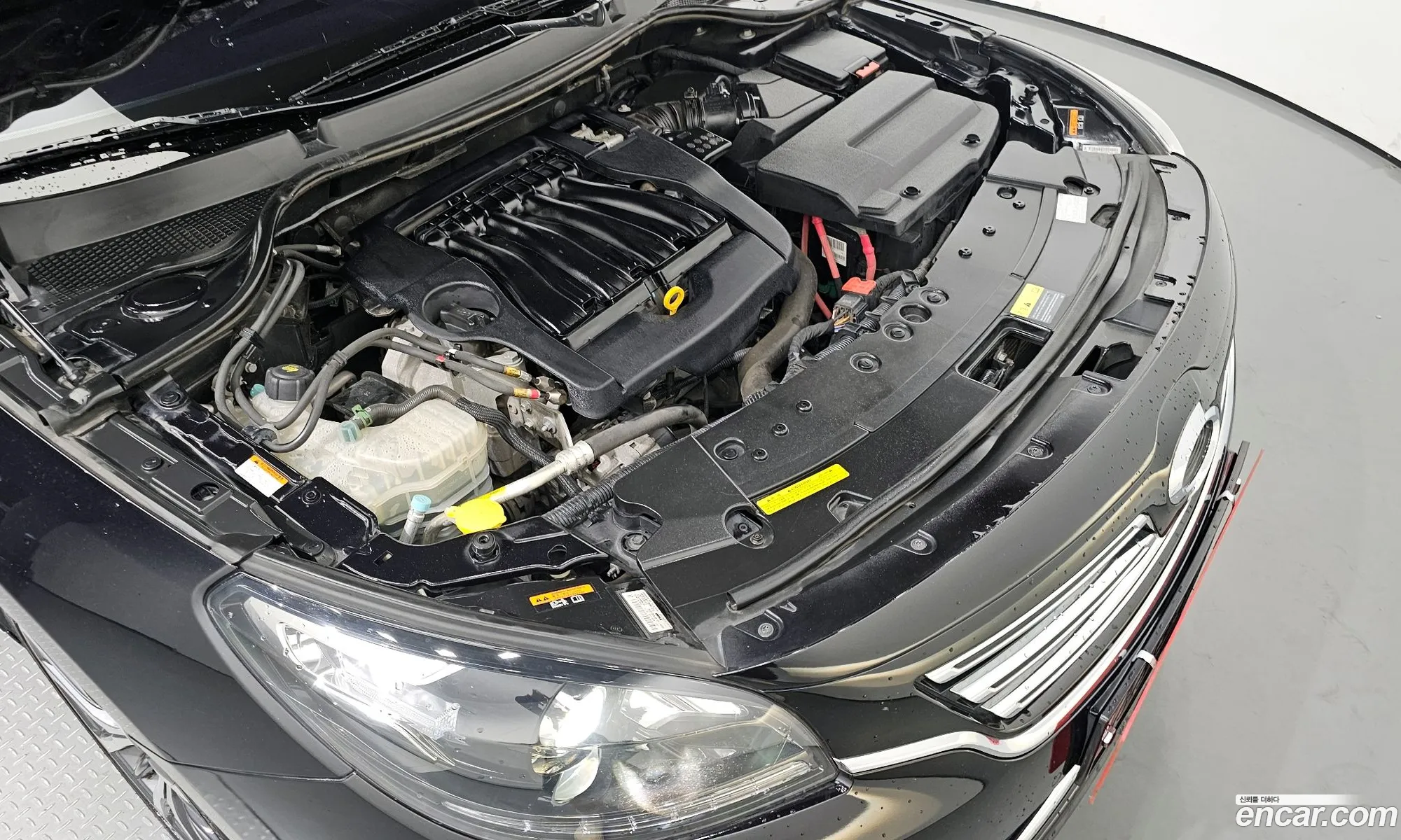 Renault Korea Samsung Sm7 Nova Lpli 20 Lpe For The Disabled - фотография 8063032