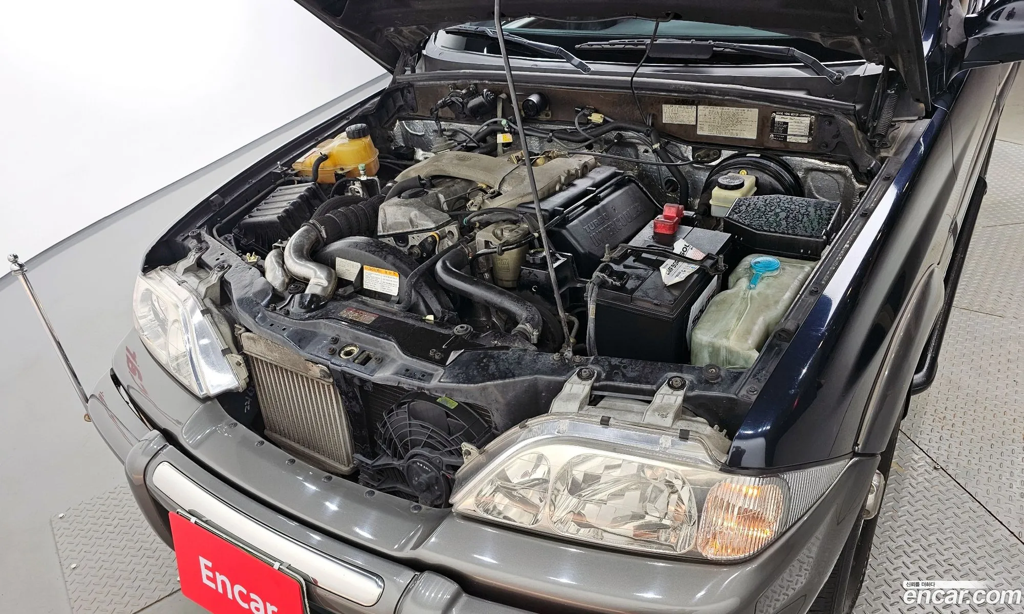 Kg Mobility Ssangyong New Musso Diesel 4Wd 290Sr High-End Model - фотография 6931445