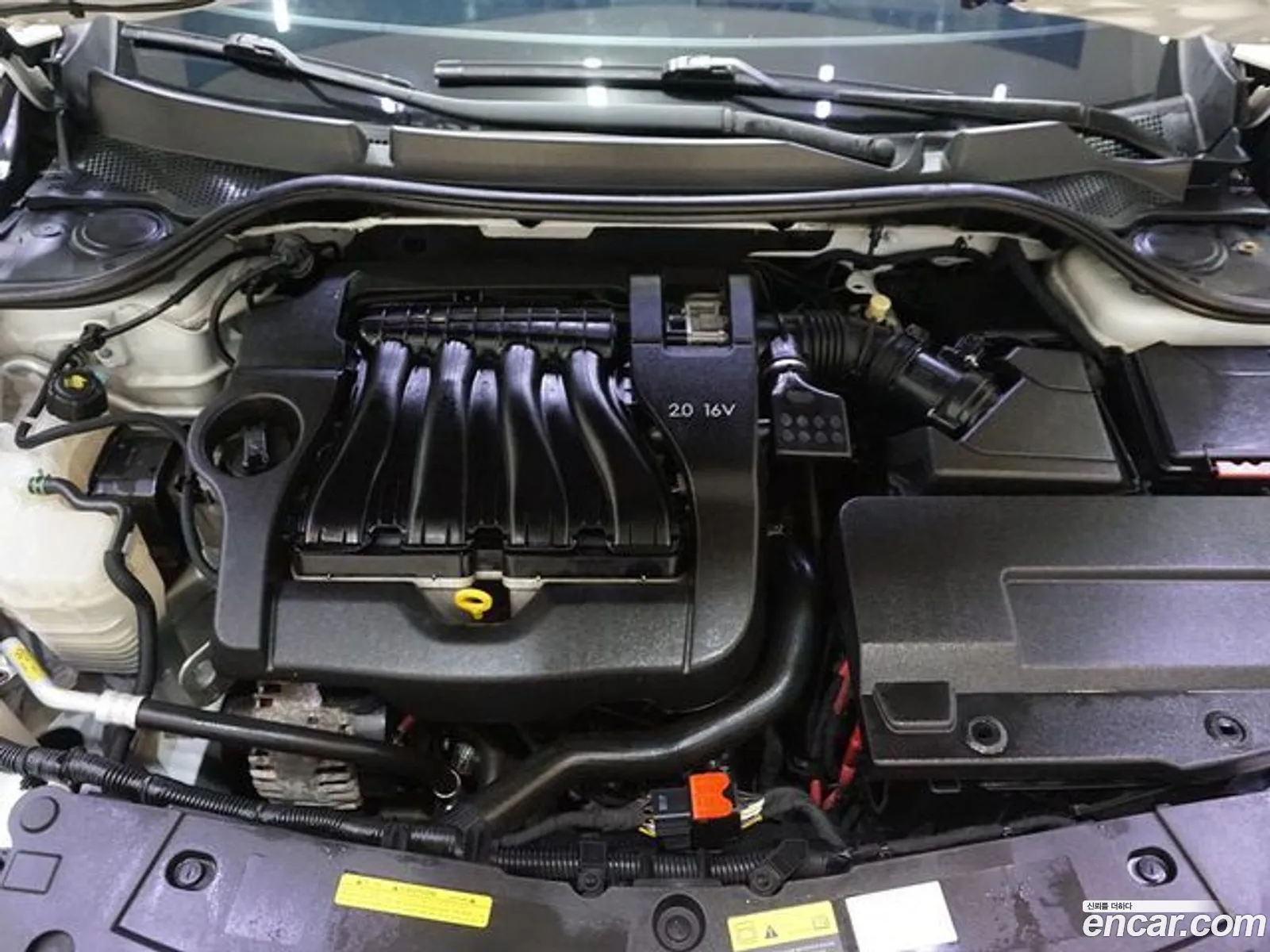 Renault Korea Samsung New Sm5 Platinum Re Basic Type - фотография 7009738