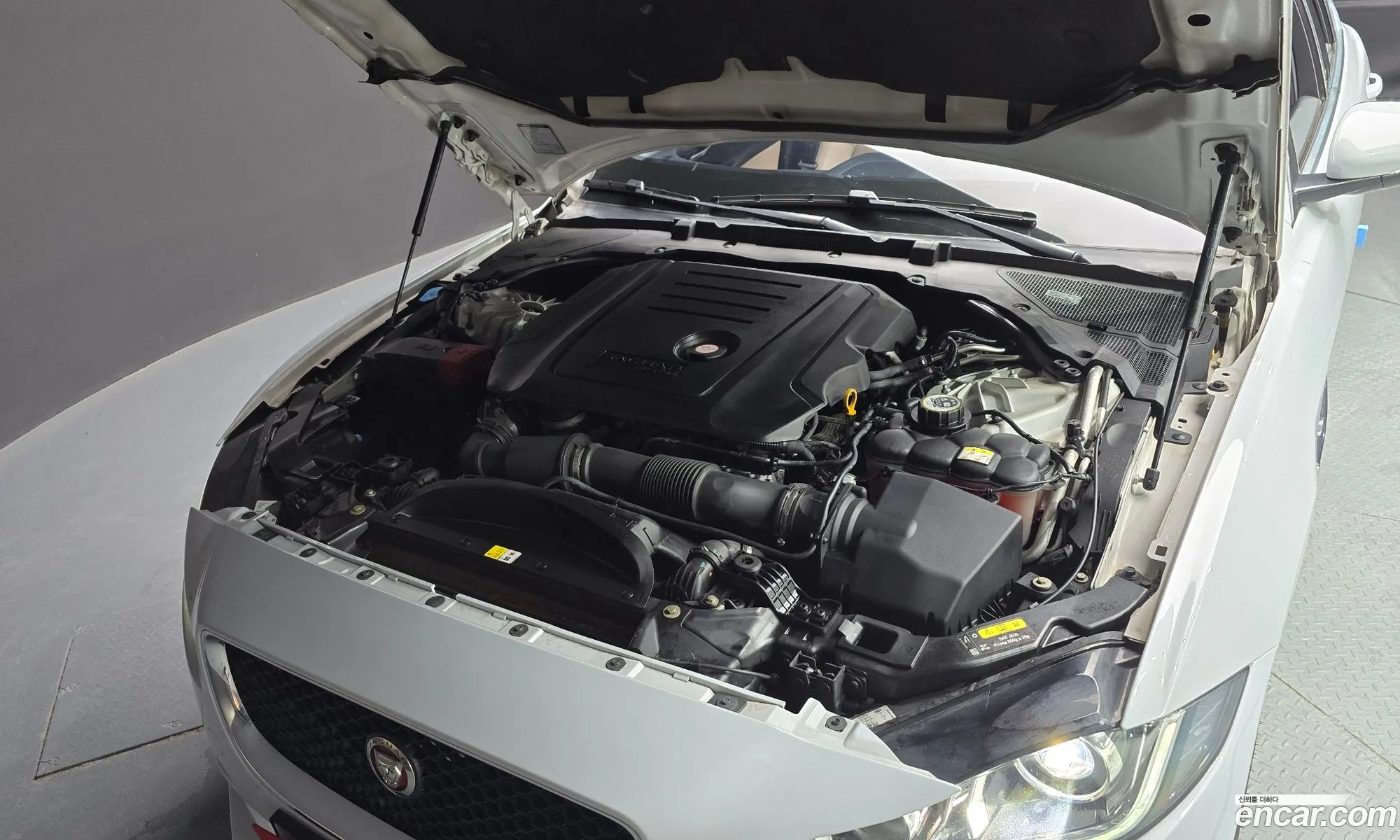 Jaguar Xe 20D Prestige - фотография 3929971