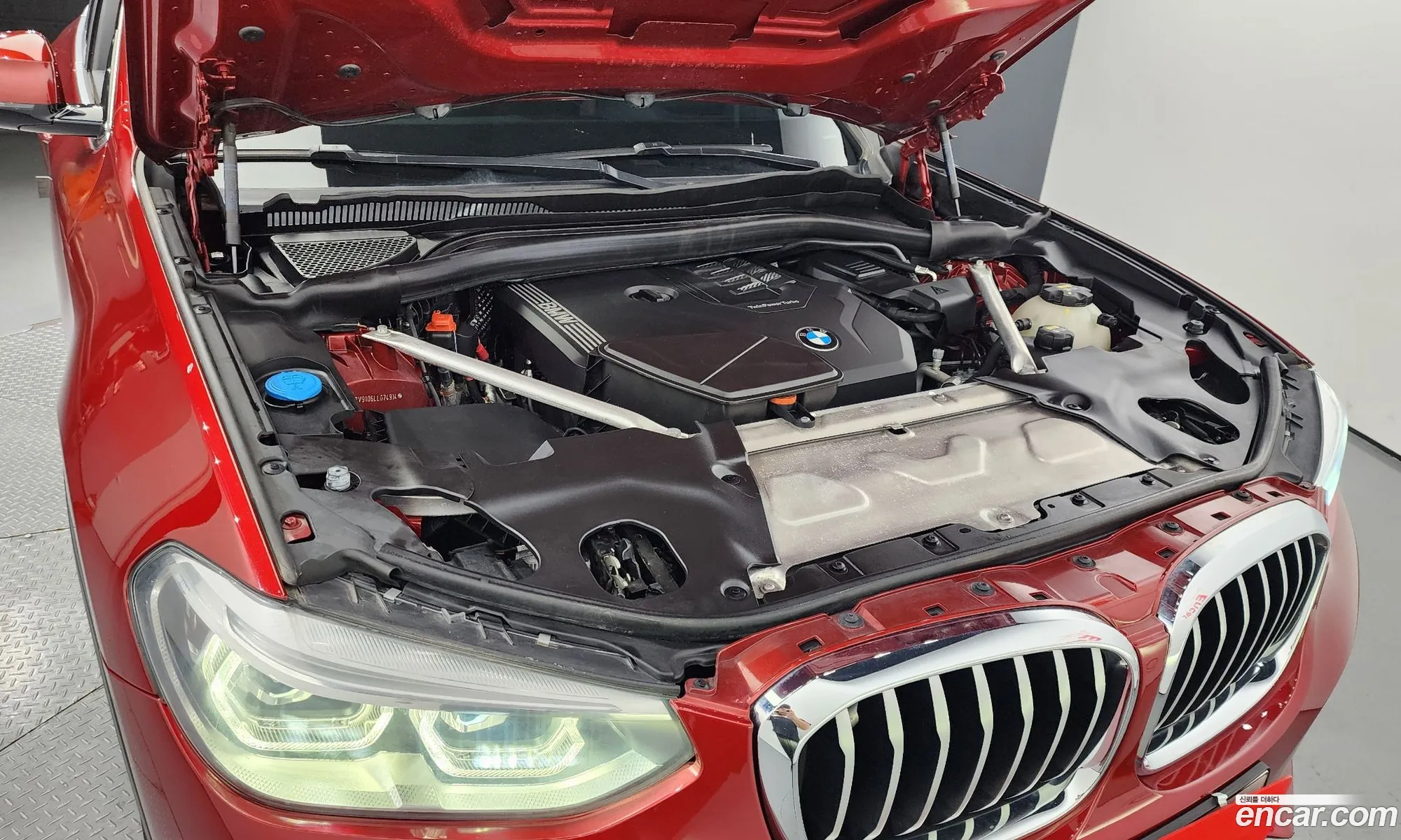 BMW X4 G02 xDrive20I Xline - фотография 12325212