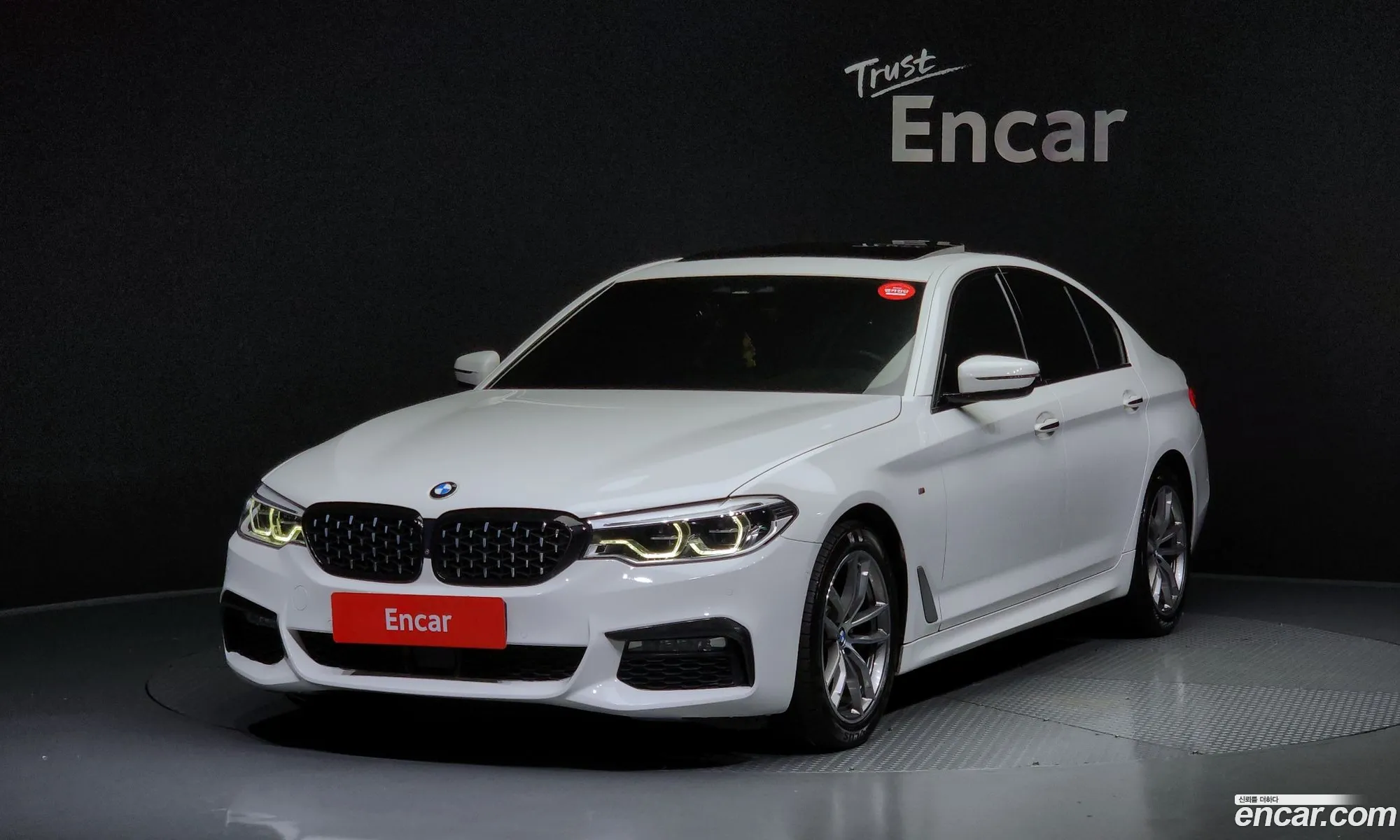 BMW 5 Series G30 520D xDrive M Sport Plus - фотография 17859493