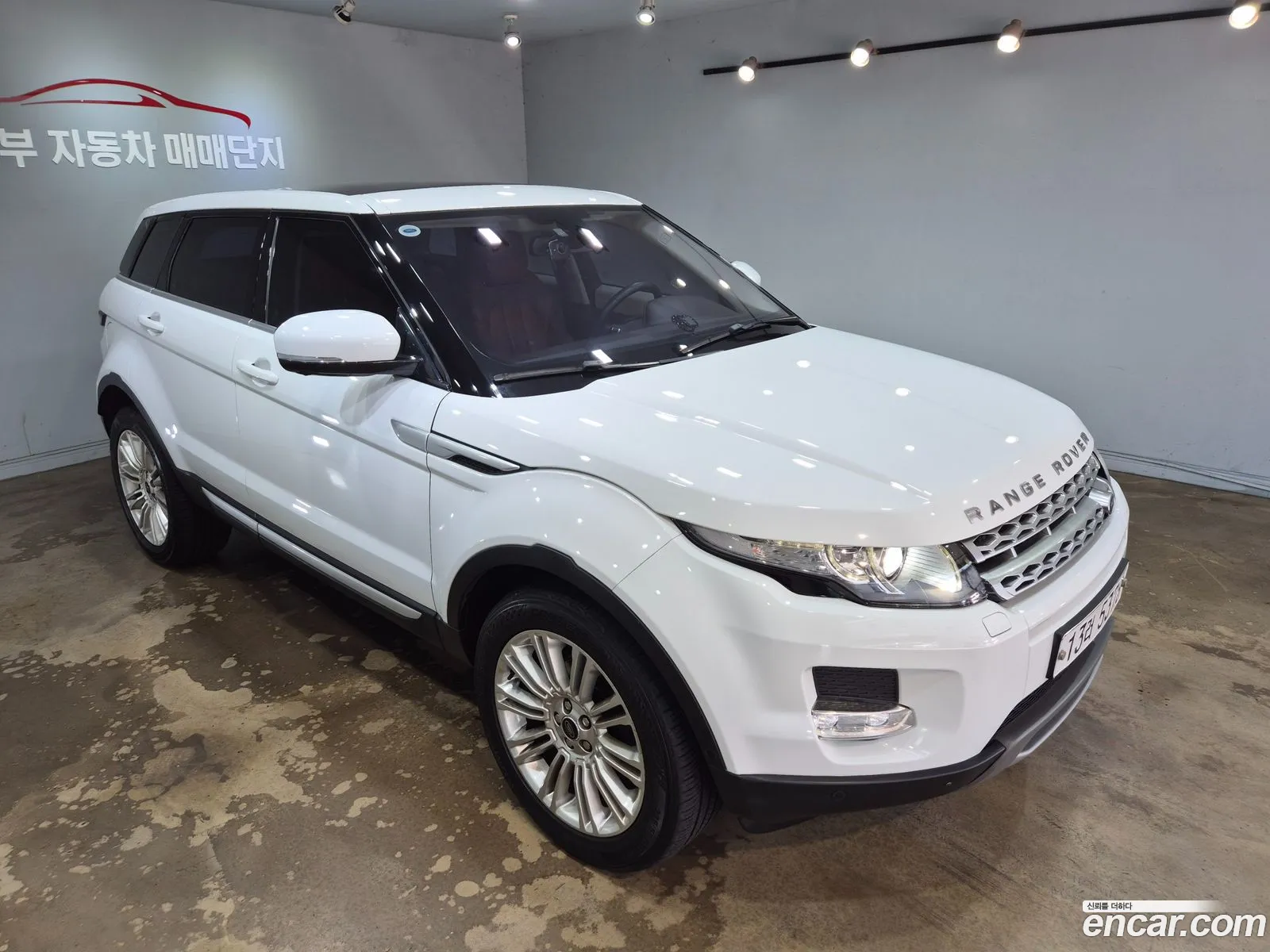 Korex Auto Trade - фотография 7384726