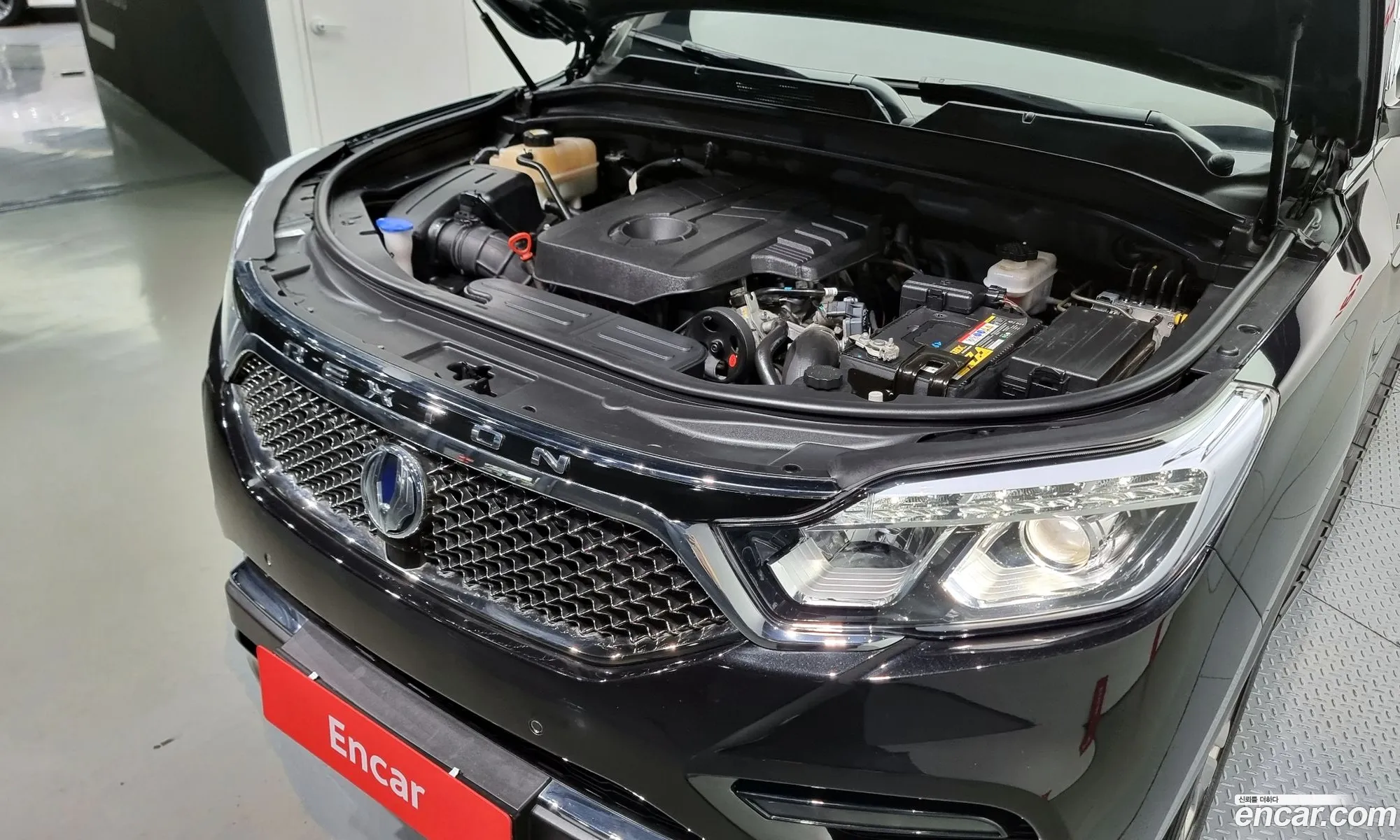 Kg Mobility Ssangyong G4 Rexton Diesel 22 4Wd Eurasia Edition - фотография 6928474