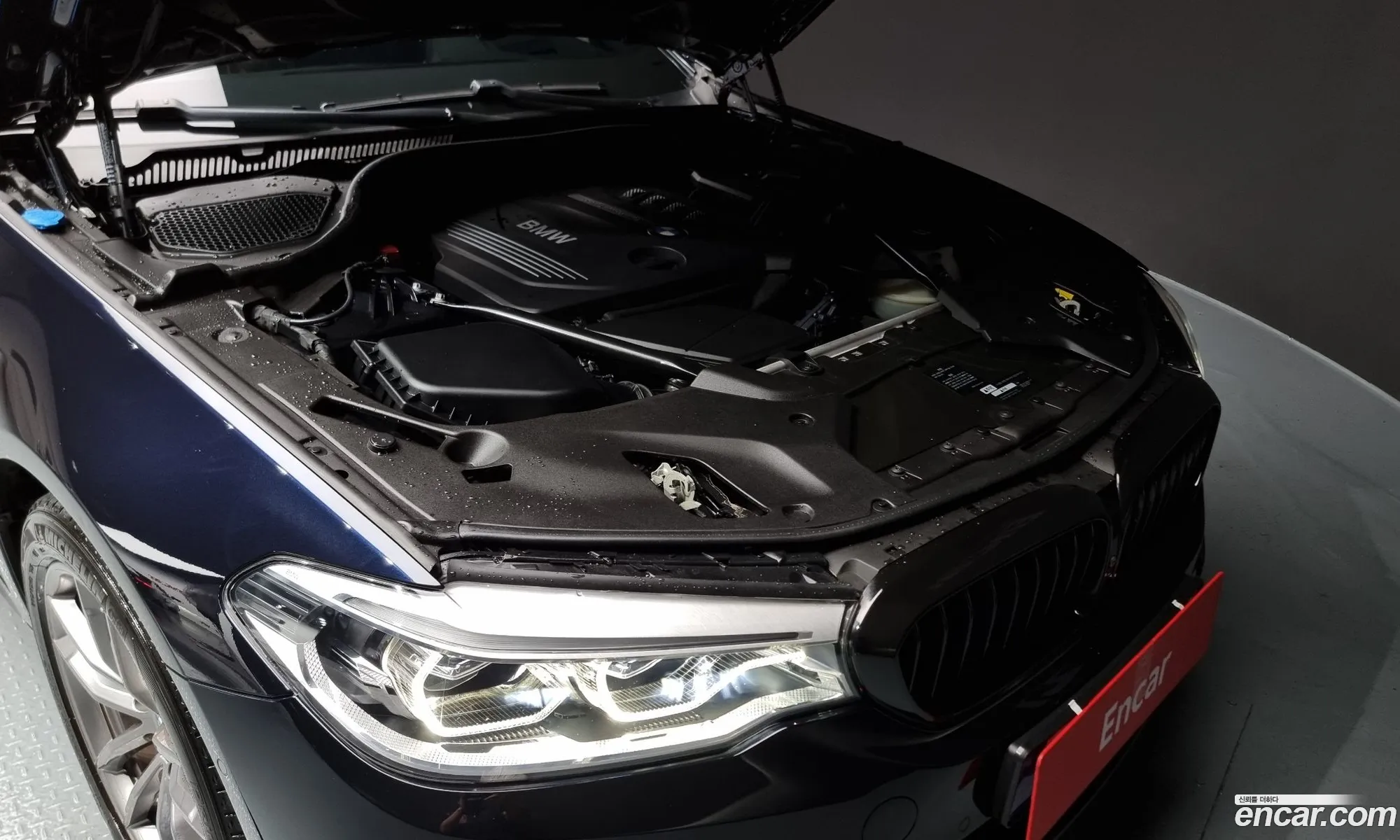 BMW 5 Series G30 520D xDrive M Sport Plus - фотография 17409589