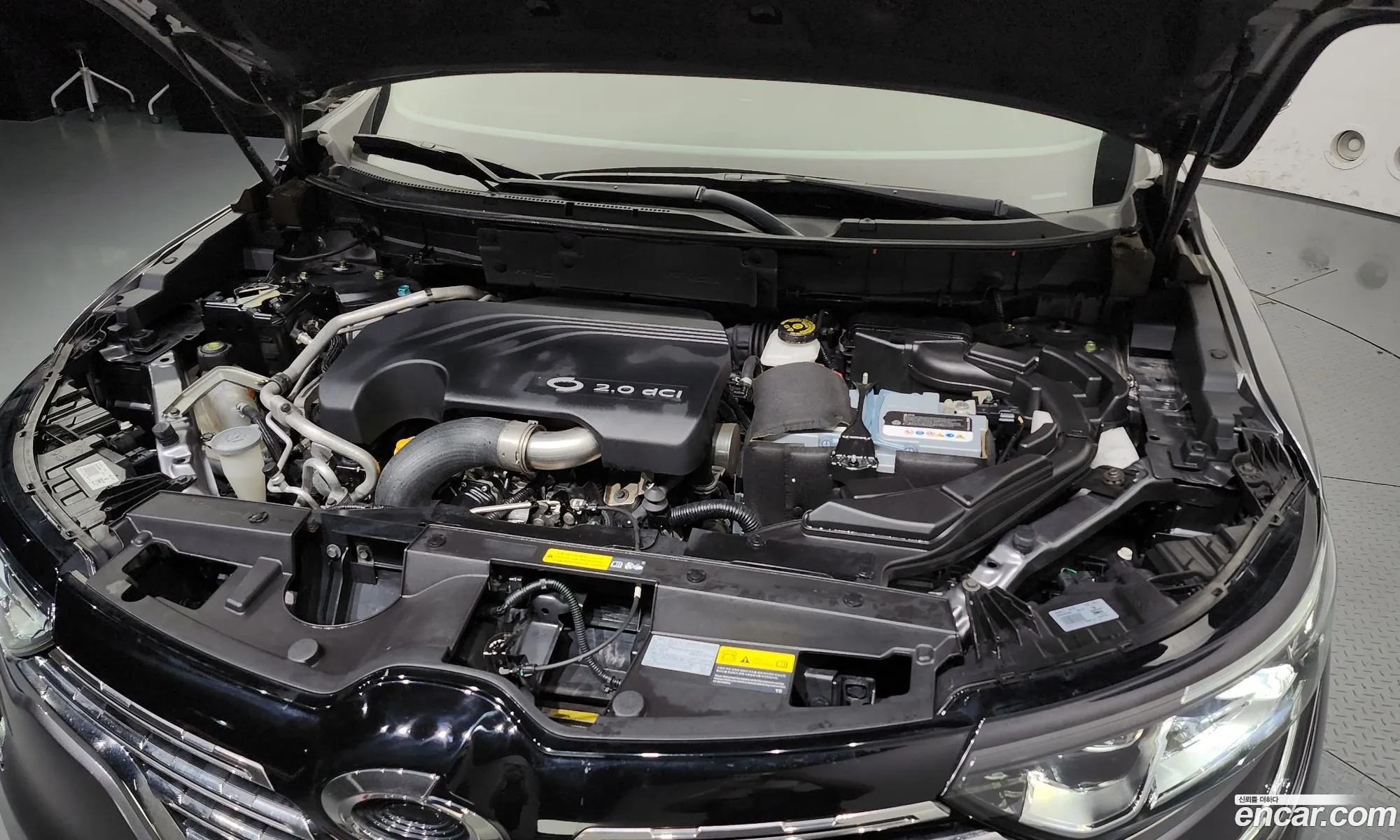 Renault Korea Samsung Qm6 Diesel 2Wd Re Signature - фотография 7913726