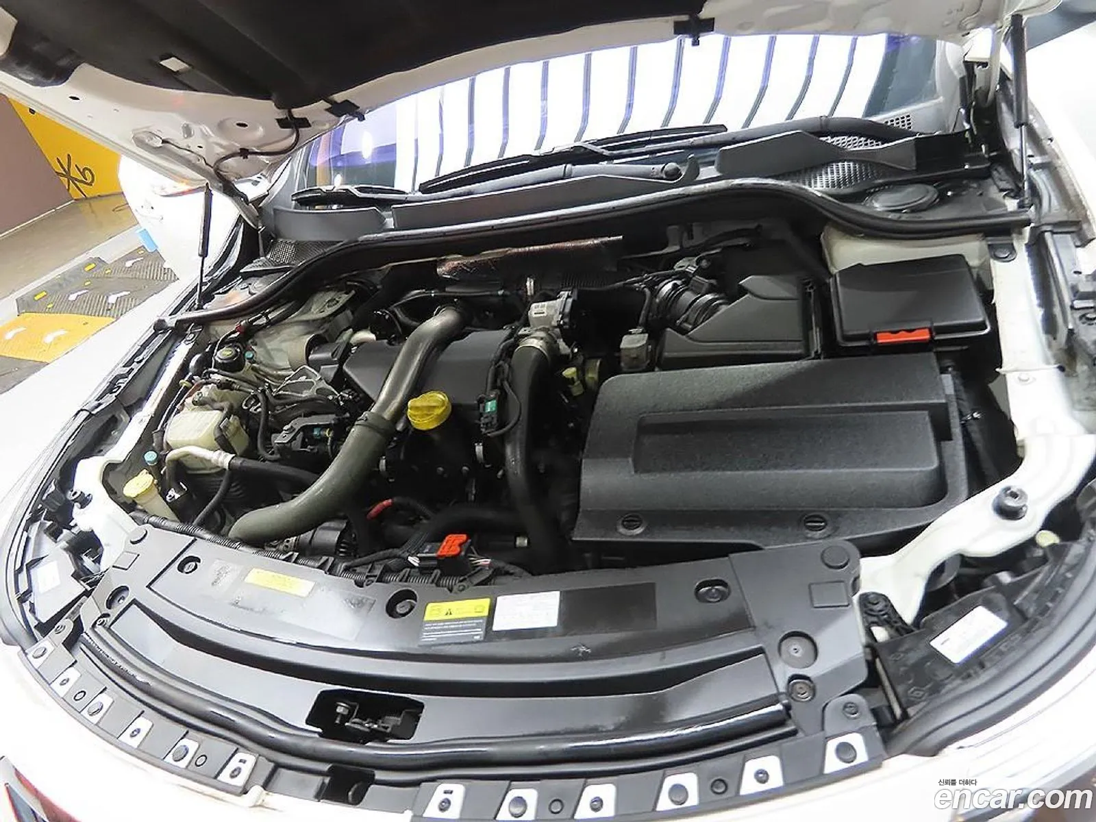 Renault Korea Samsung New Sm5 Platinum Diesel D - фотография 5195417