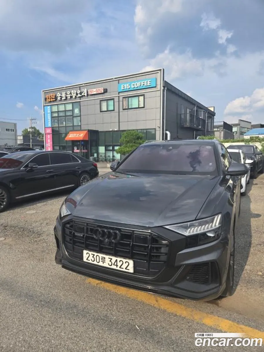 Audi Q8 4M 50 Tdi Quattro Premium - фотография 153159