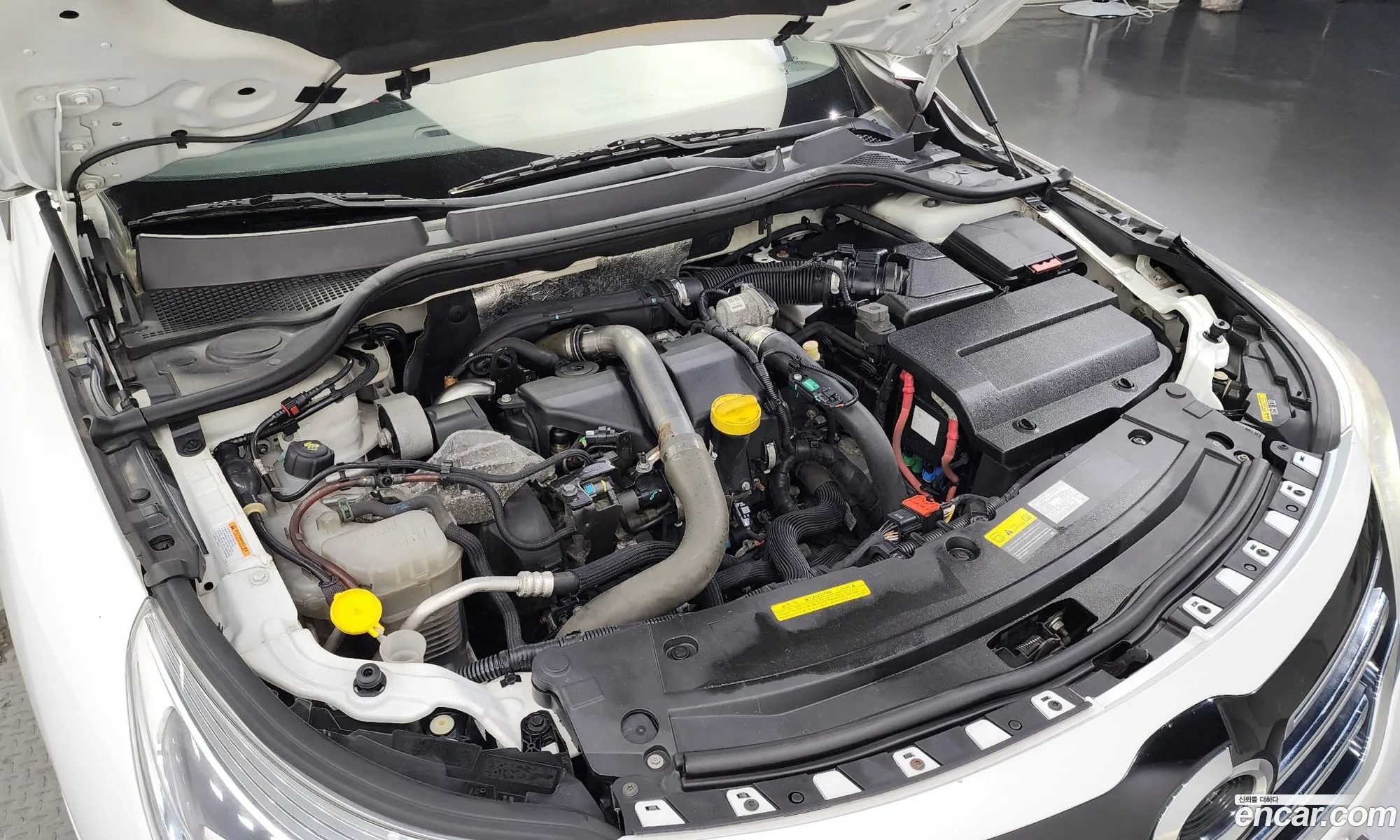 Renault Korea Samsung Sm5 Nova Diesel D Premium - фотография 6464924