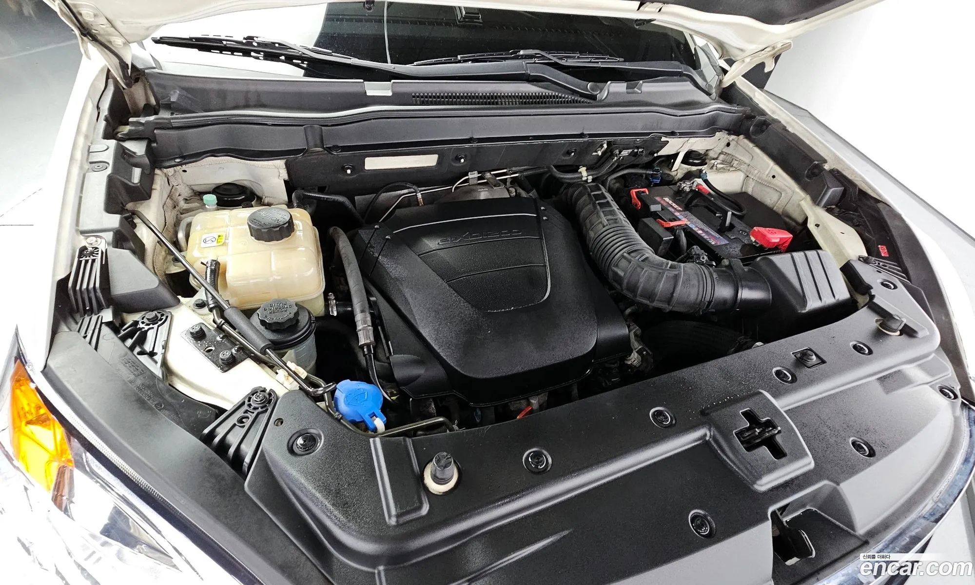 Kg Mobility Ssangyong New Korando C 20 Adventure 60Th Edition 4Wd - фотография 6645596
