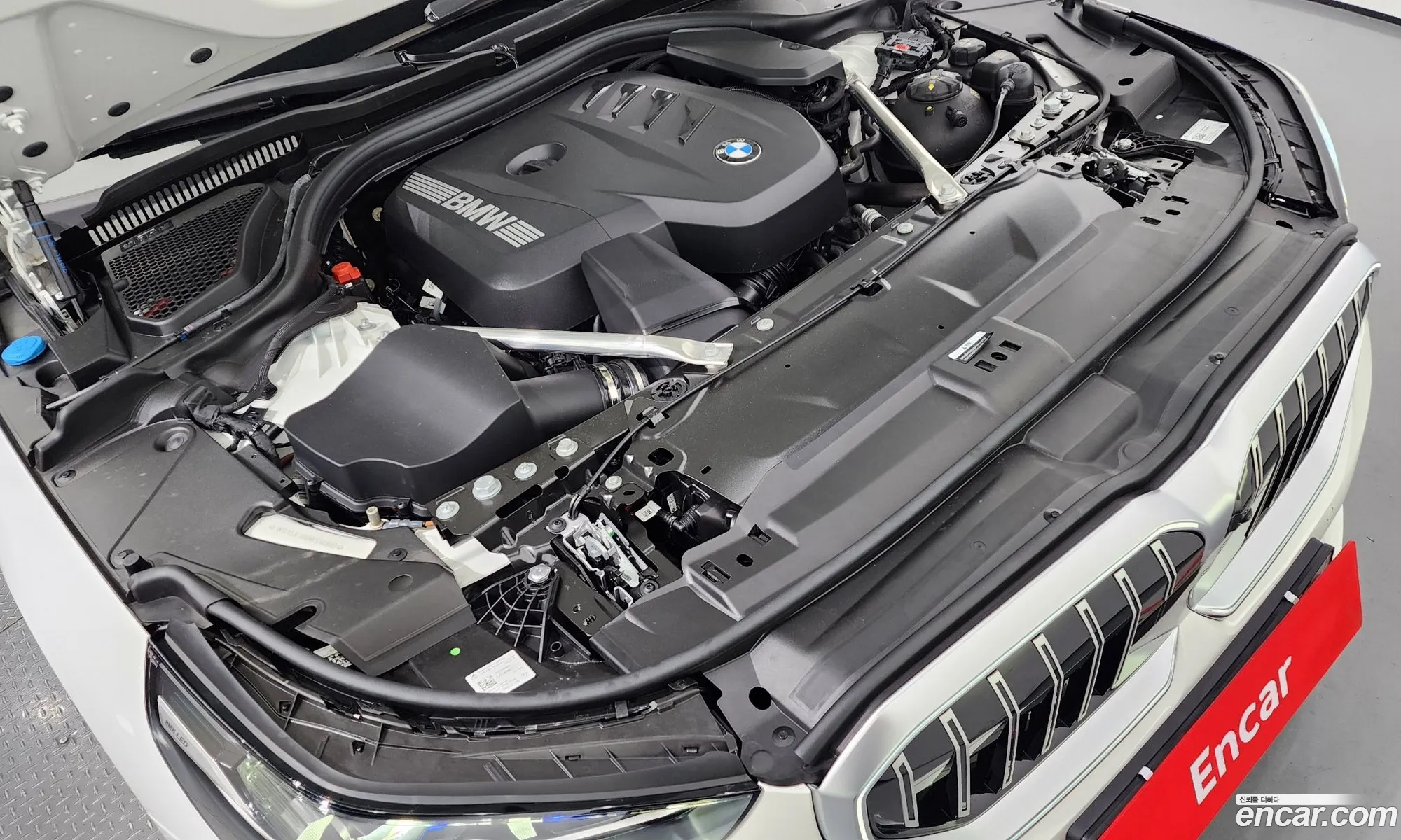 BMW 5 Series G60 530I xDrive - фотография 12325152