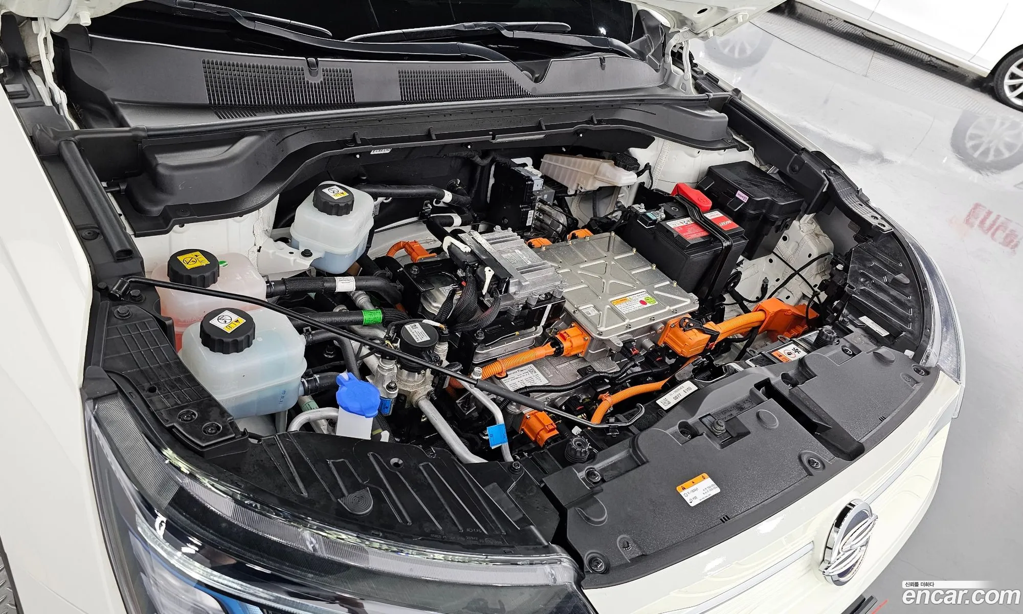 Kg Mobility Ssangyong Korando Ev Emotion E5 - фотография 6680243