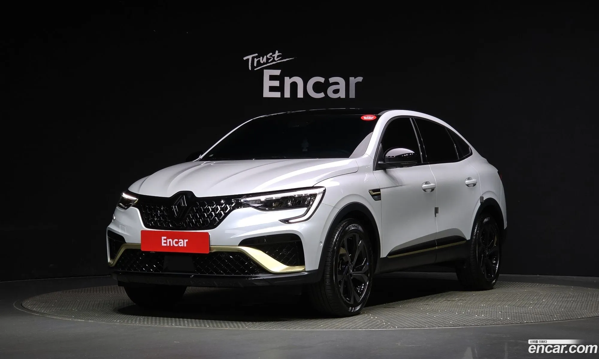 Renault Korea Samsung Arcana 16 E-Tech Iconic Design Package - фотография 6465085