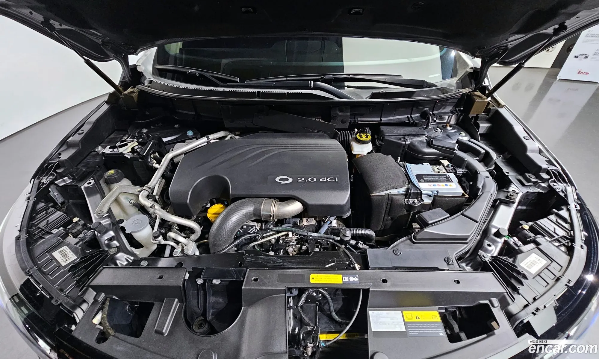 Renault Korea Samsung Qm6 Diesel 4Wd Re Signature - фотография 6750538