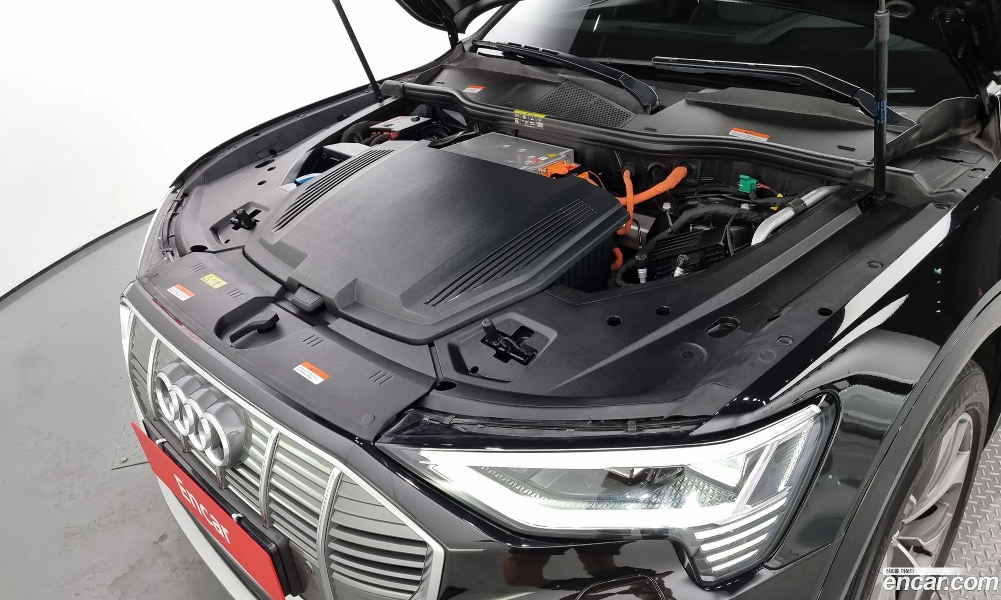 Audi E-Tron 55 Quattro - фотография 333583
