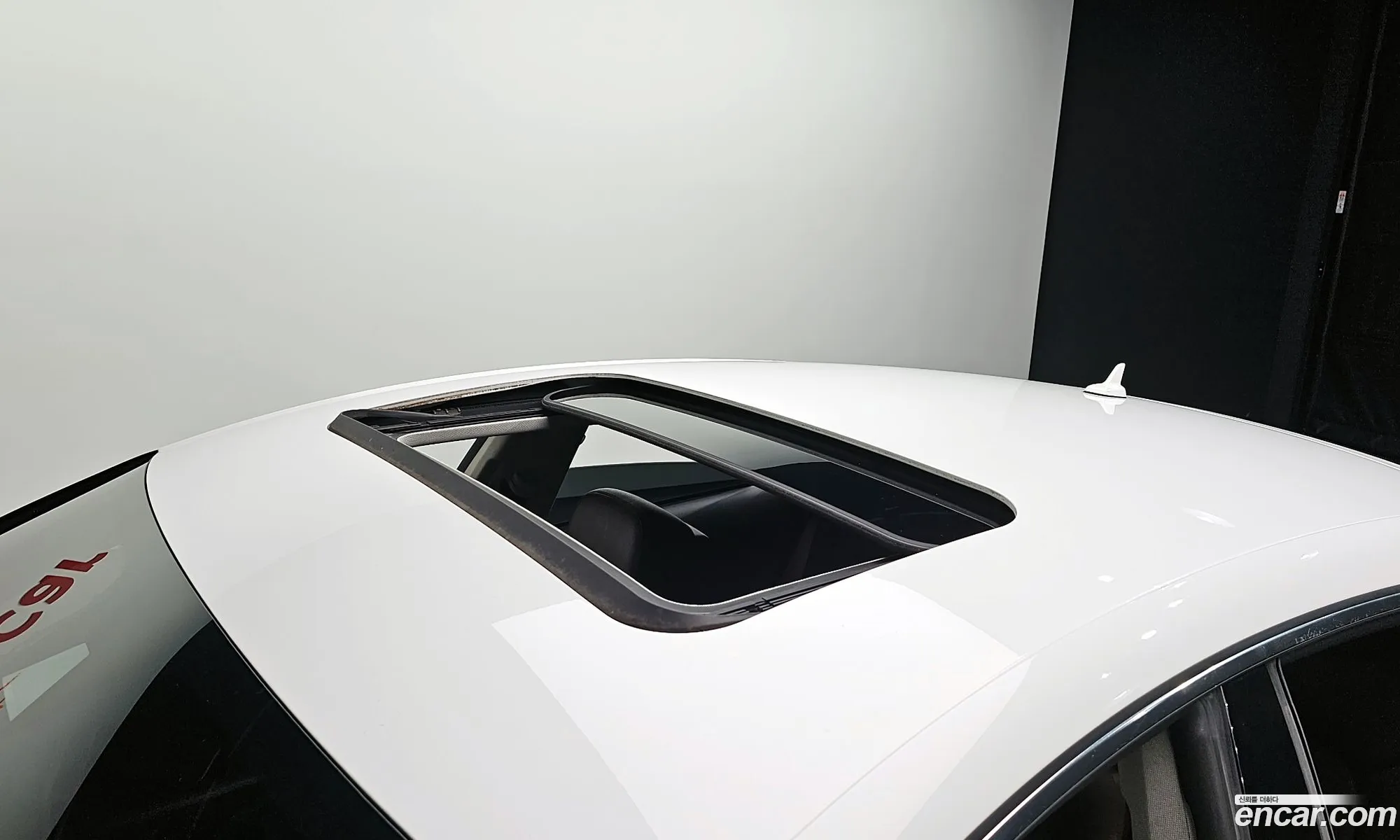 Korex Auto Trade - фотография 283064
