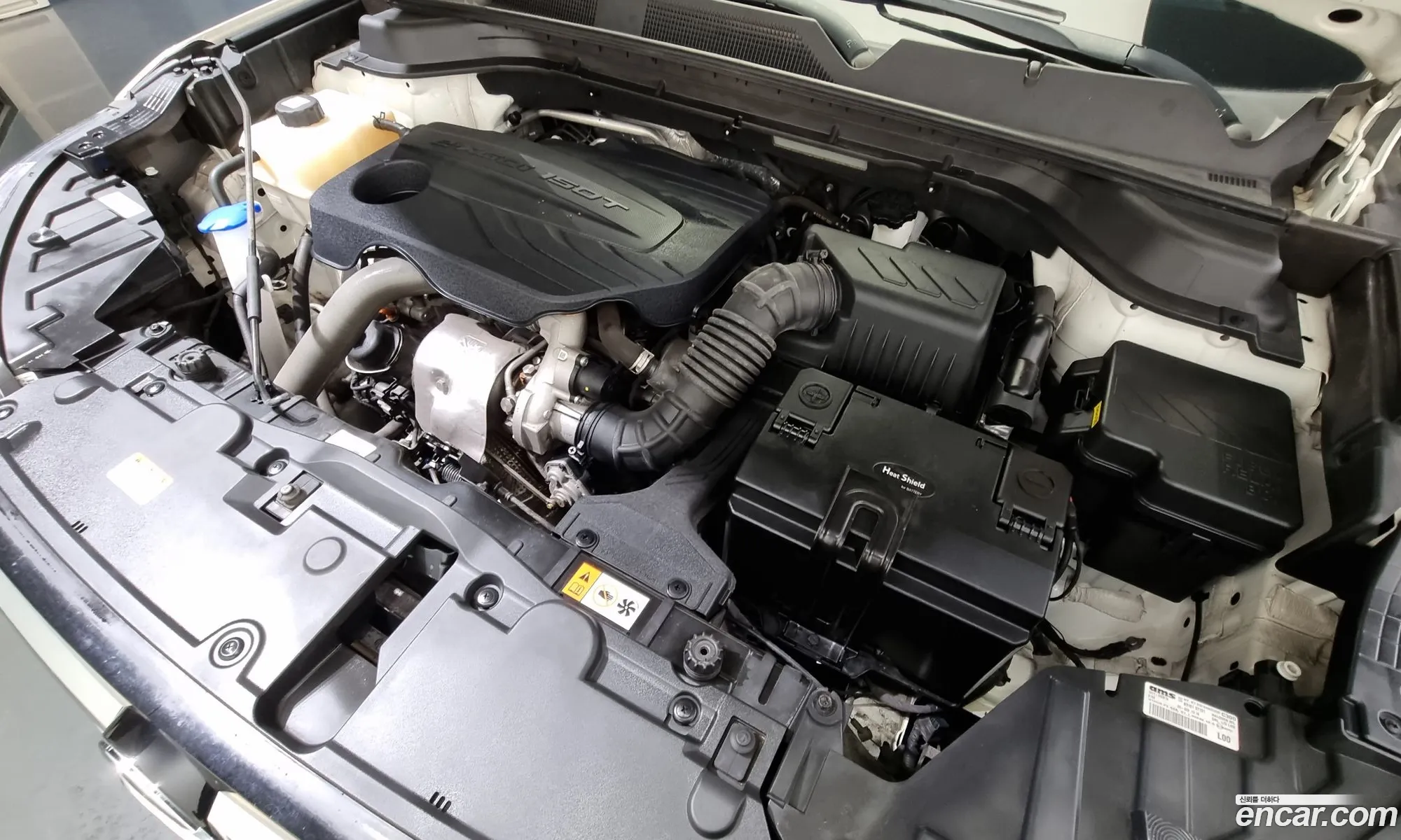 Kg Mobility Ssangyong Beautiful Korando Gasoline 15 2Wd C5 Plus - фотография 8819281
