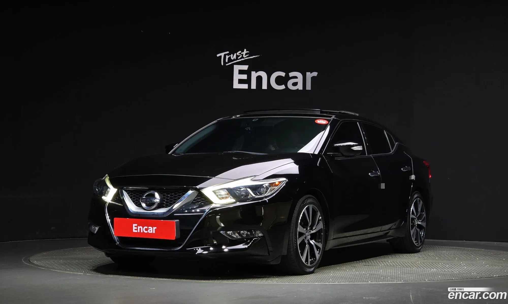 Nissan Maxima A36 35 Platinum - фотография 4637315
