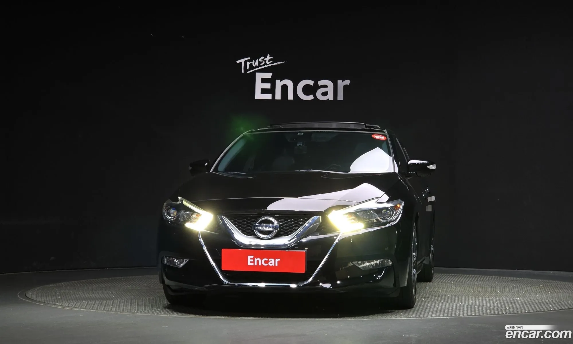 Nissan Maxima A36 35 Platinum - фотография 4637317