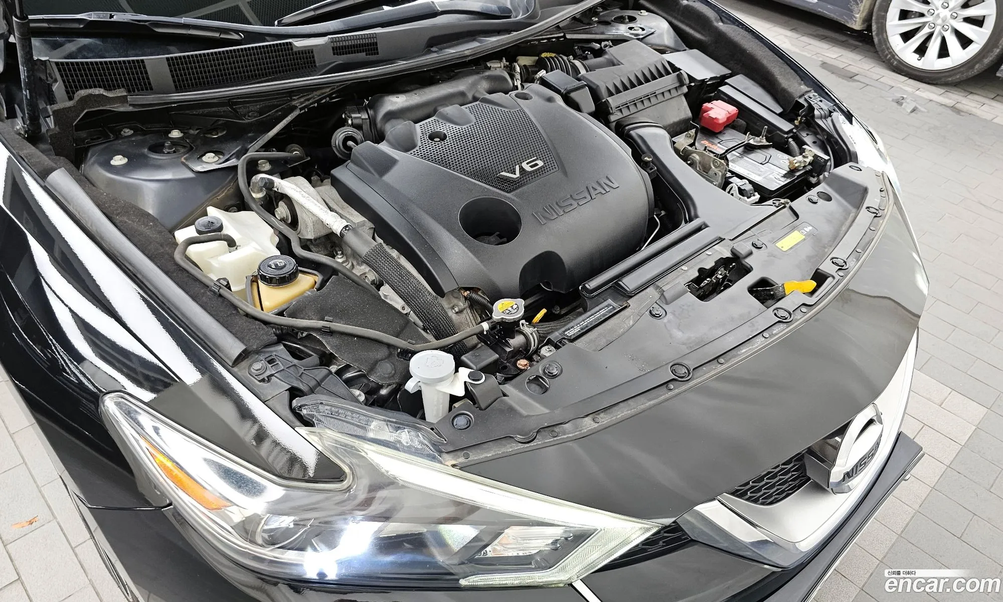 Nissan Maxima A36 35 Platinum - фотография 4637320