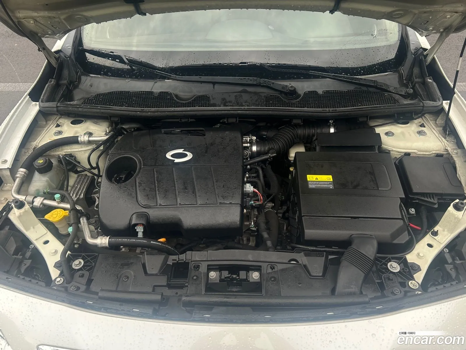 Renault Korea Samsung New Sm3 Se - фотография 8477790