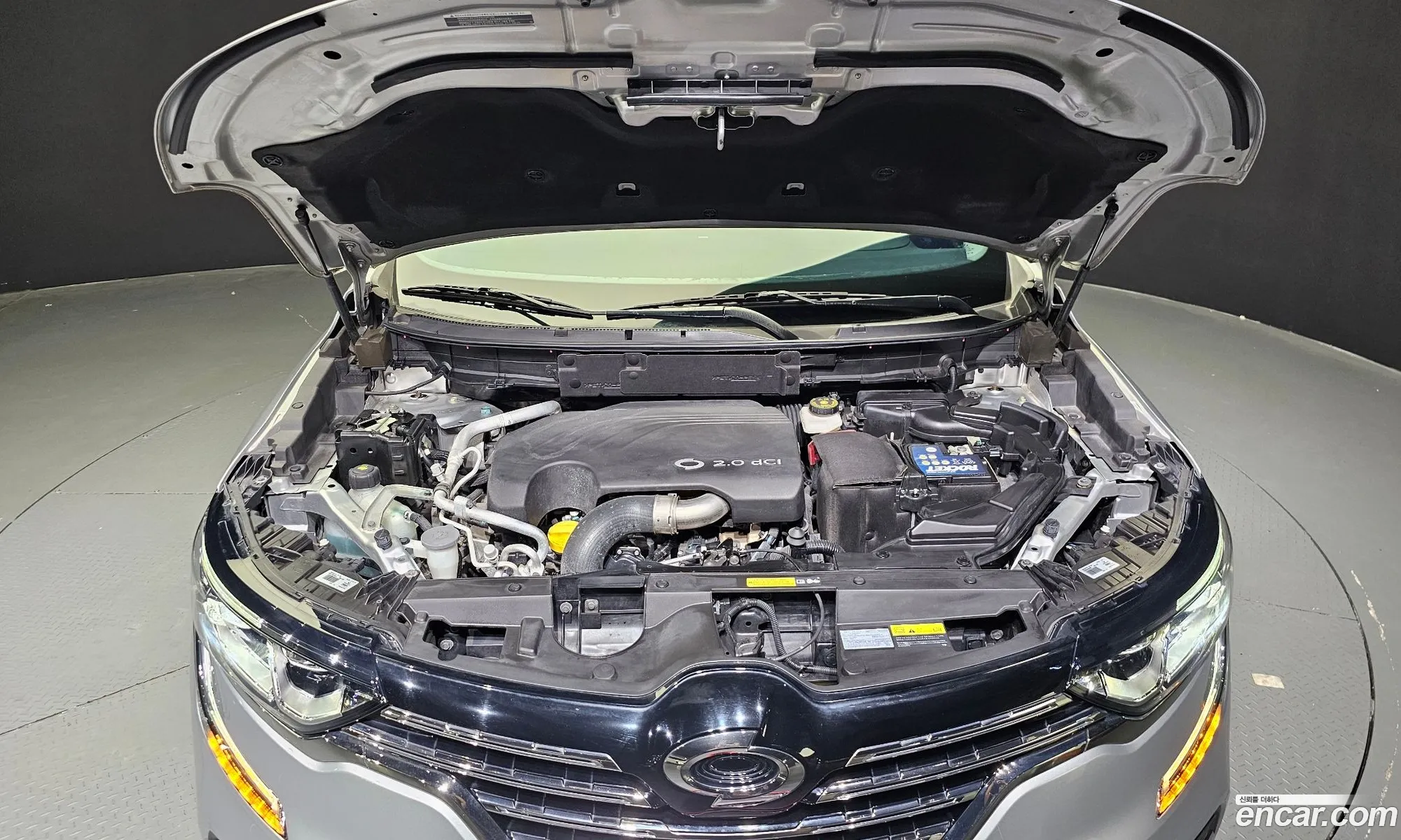 Renault Korea Samsung Qm6 Diesel 4Wd Re Signature - фотография 6750526
