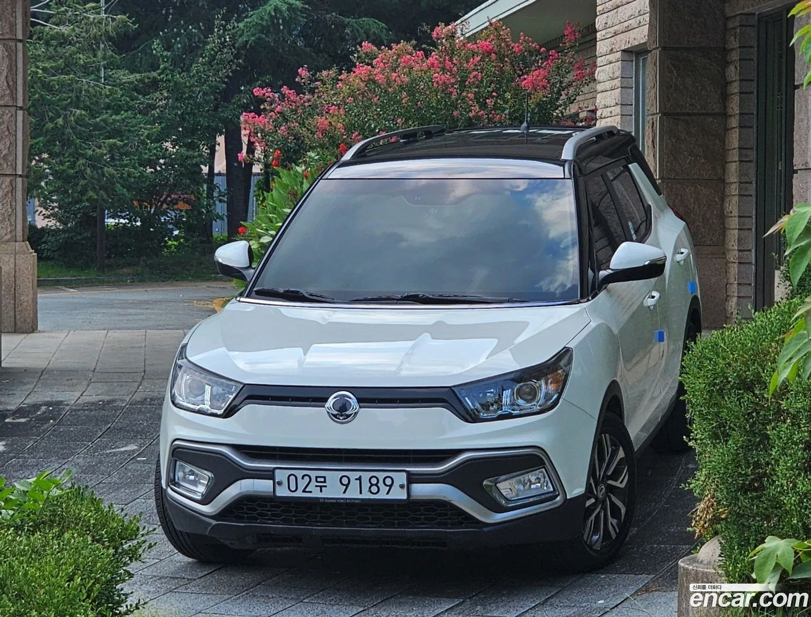 Korex Auto Trade - фотография 6412781