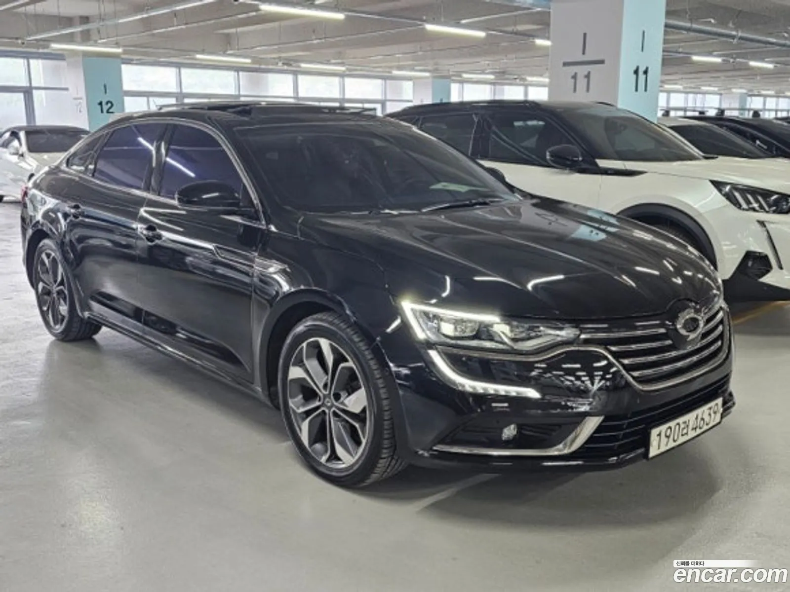 Renault Korea Samsung Sm6 20 Lpe Re For The Disabled - фотография 8626391