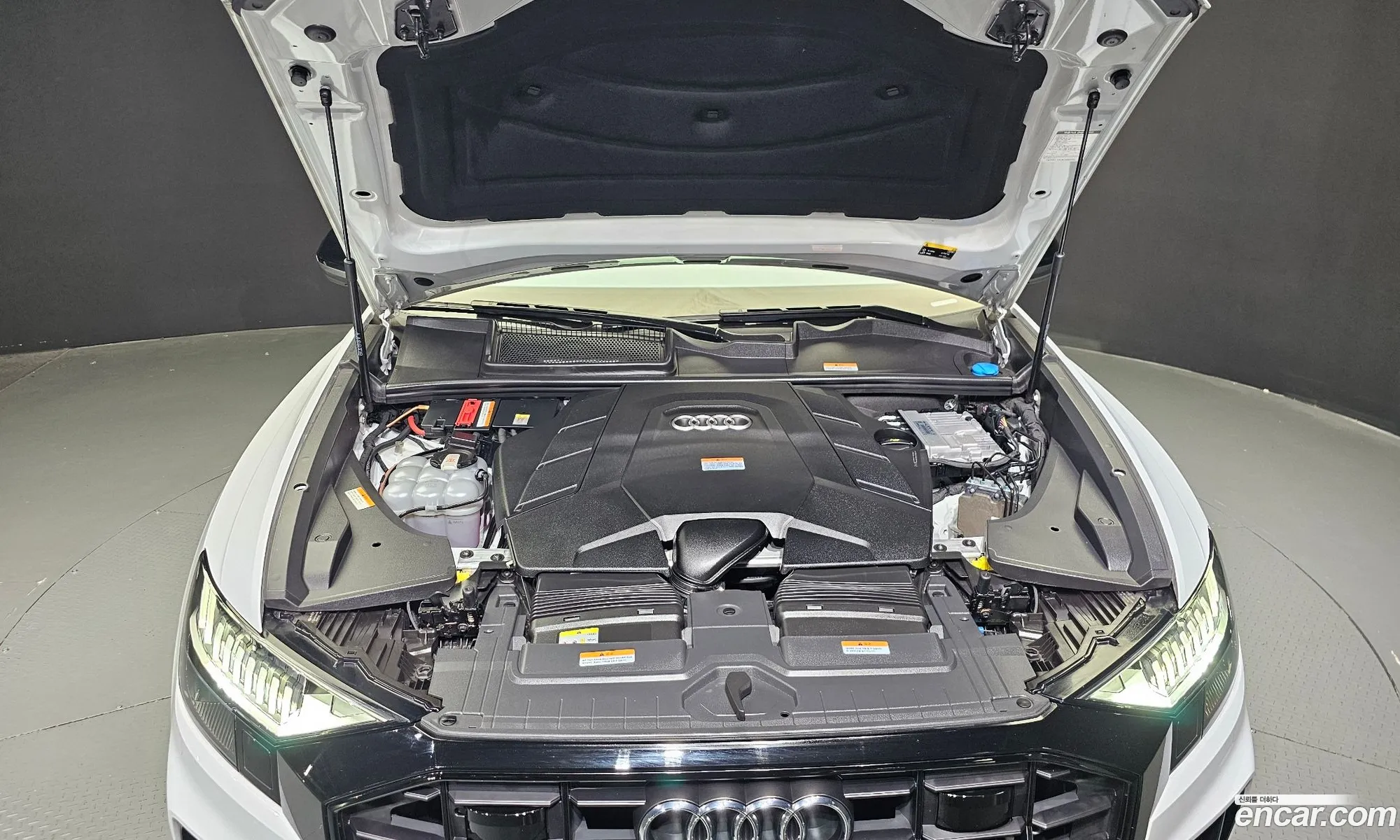 Audi Q8 4M 55 Tfsi Quattro Premium - фотография 278197