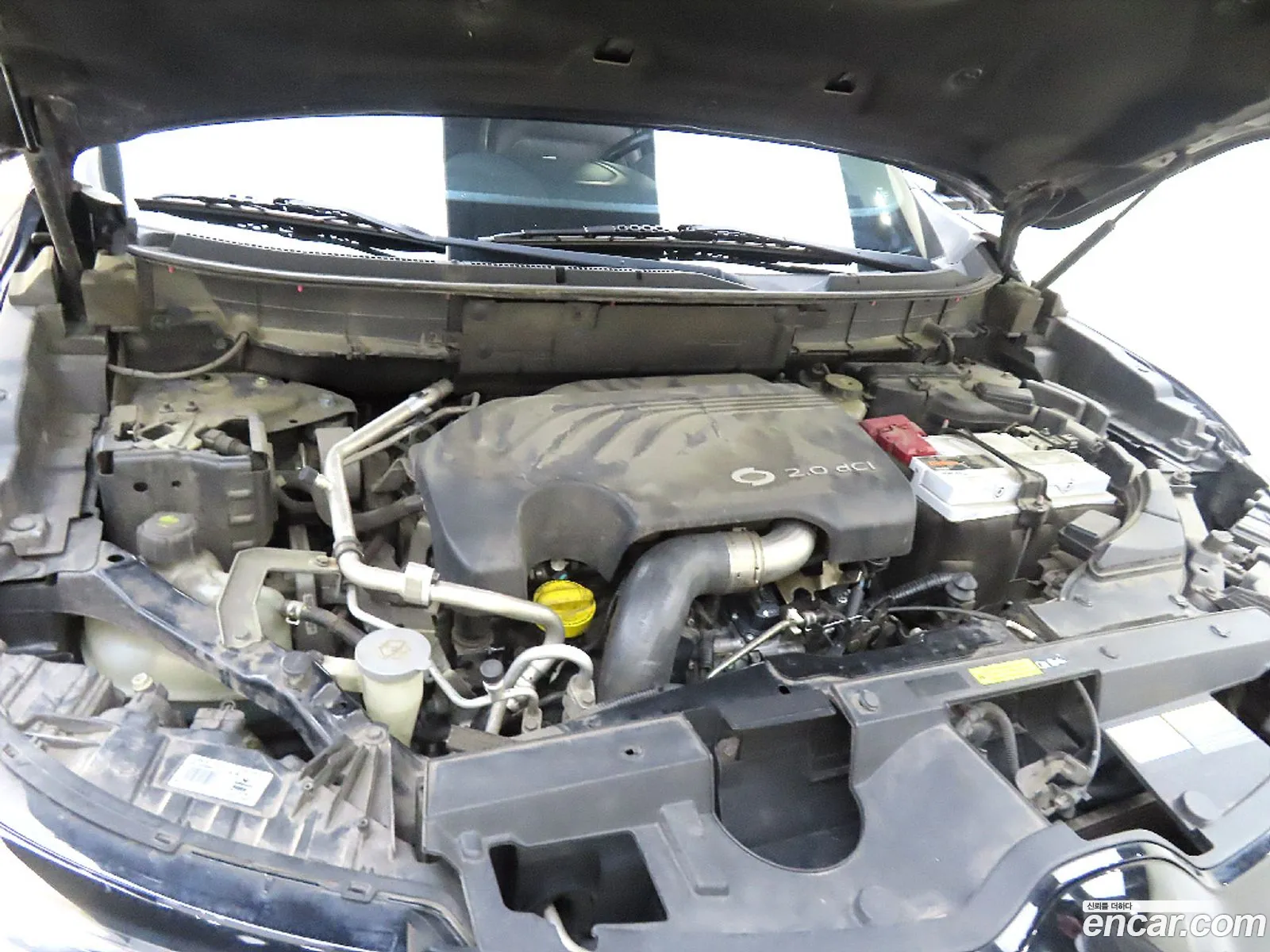 Renault Korea Samsung Qm6 Diesel 4Wd Re Signature - фотография 6817876