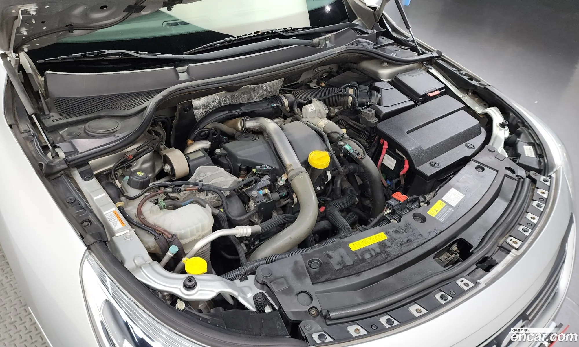 Renault Korea Samsung New Sm5 Platinum Diesel D - фотография 6644995