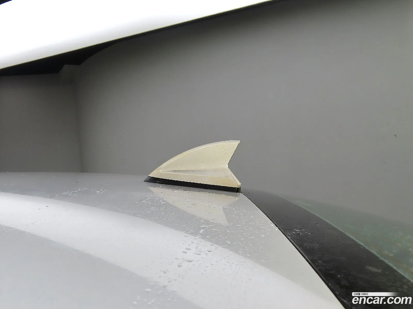 Renault Korea Samsung New Sm3 Le - фотография 6973283
