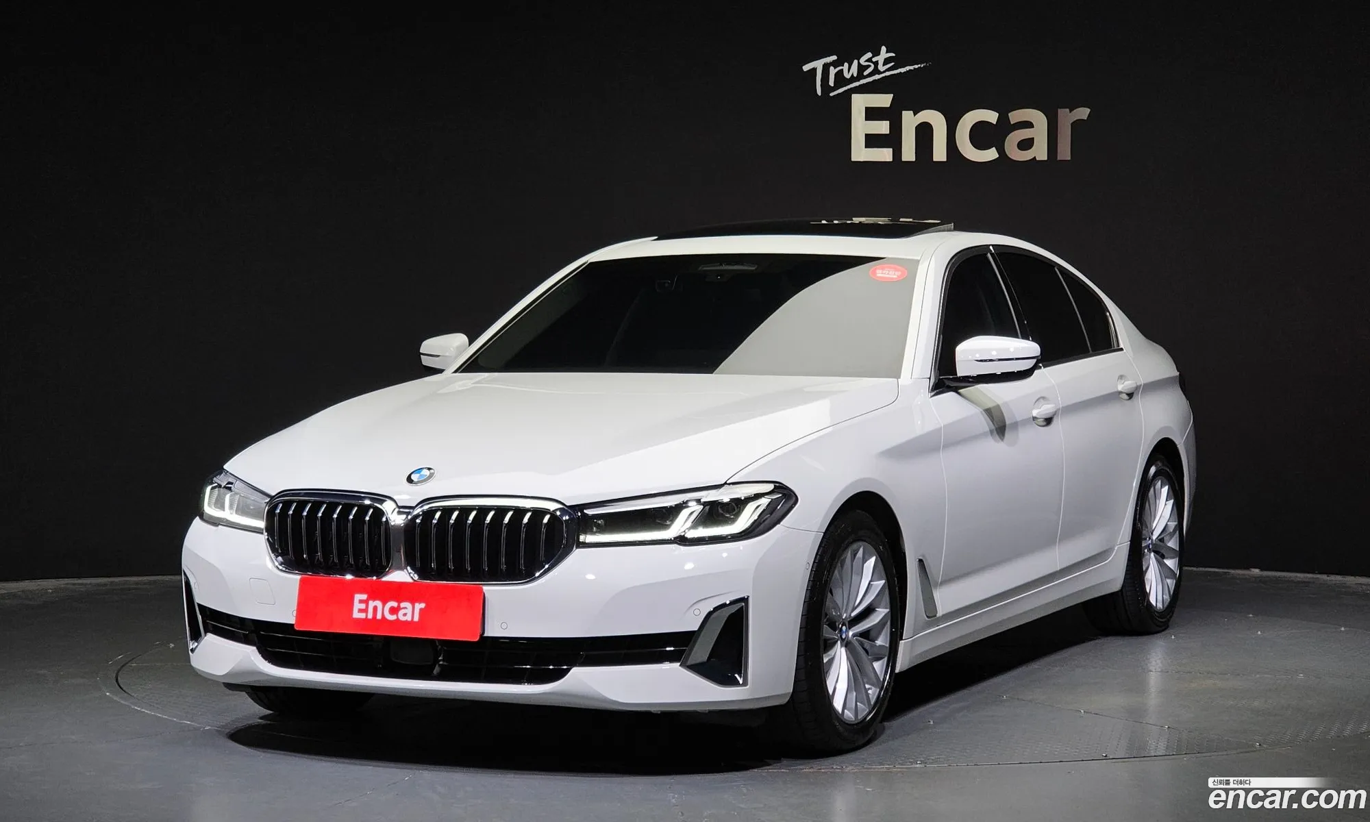 BMW 5 Series G30 520I Luxury - фотография 18026432