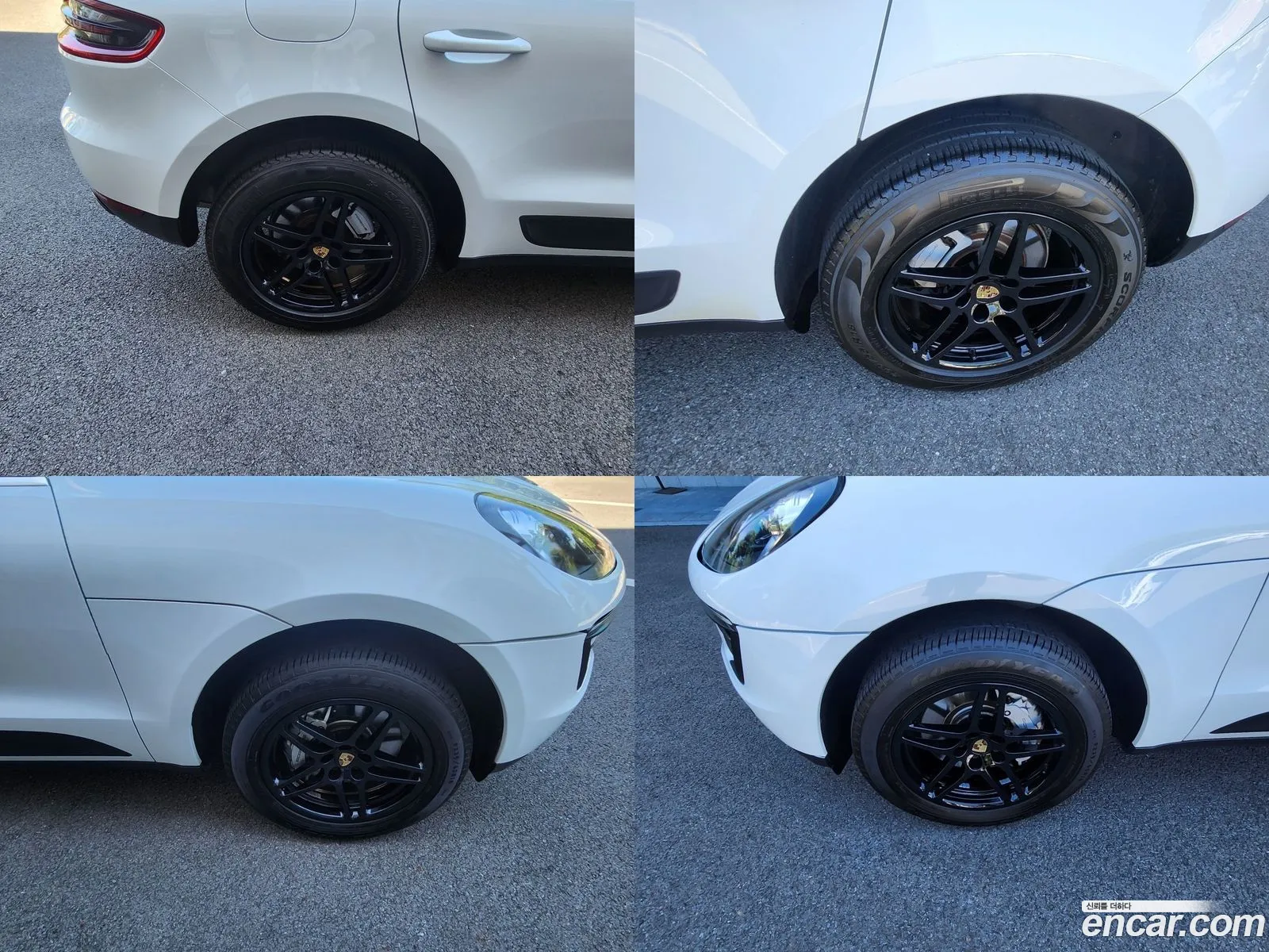 Korex Auto Trade - фотография 7035425
