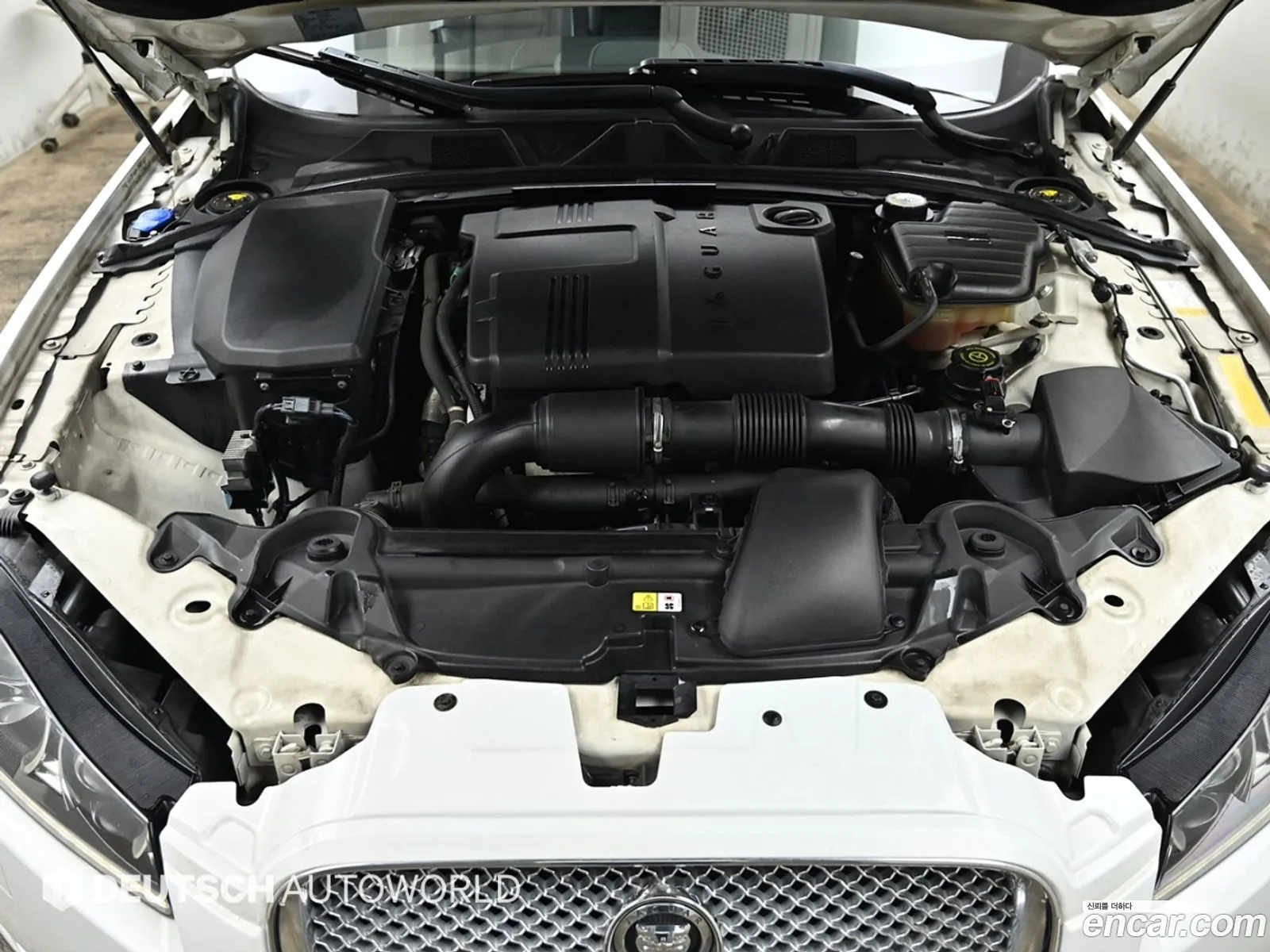 Jaguar New Xf 22D Luxury X250 - фотография 3929186