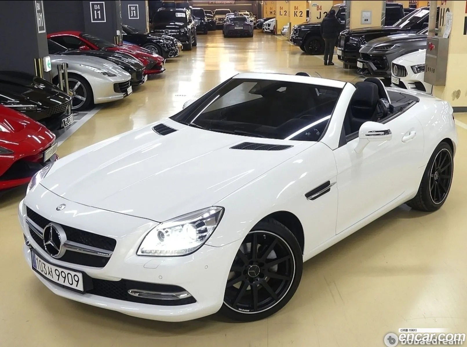 Benz New Slk-Class 200 Blue Efficiency R172 - фотография 19128641