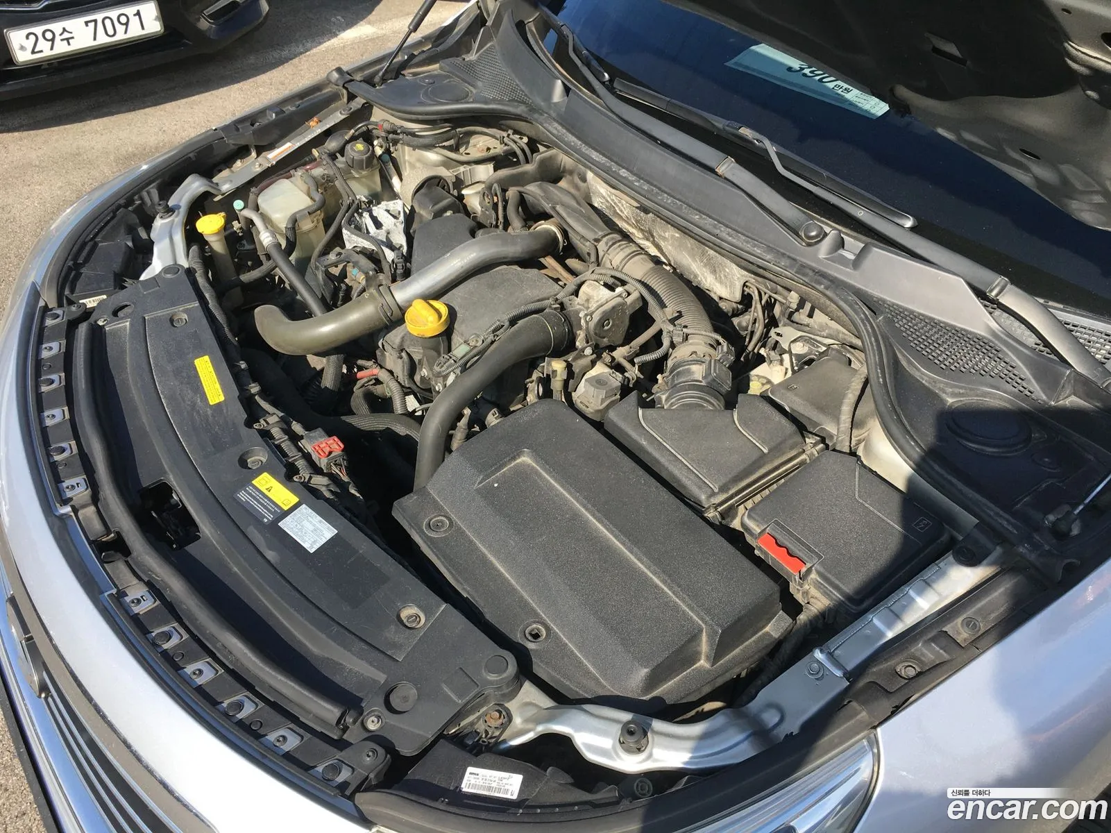Renault Korea Samsung New Sm5 Platinum Diesel D Special - фотография 8720628