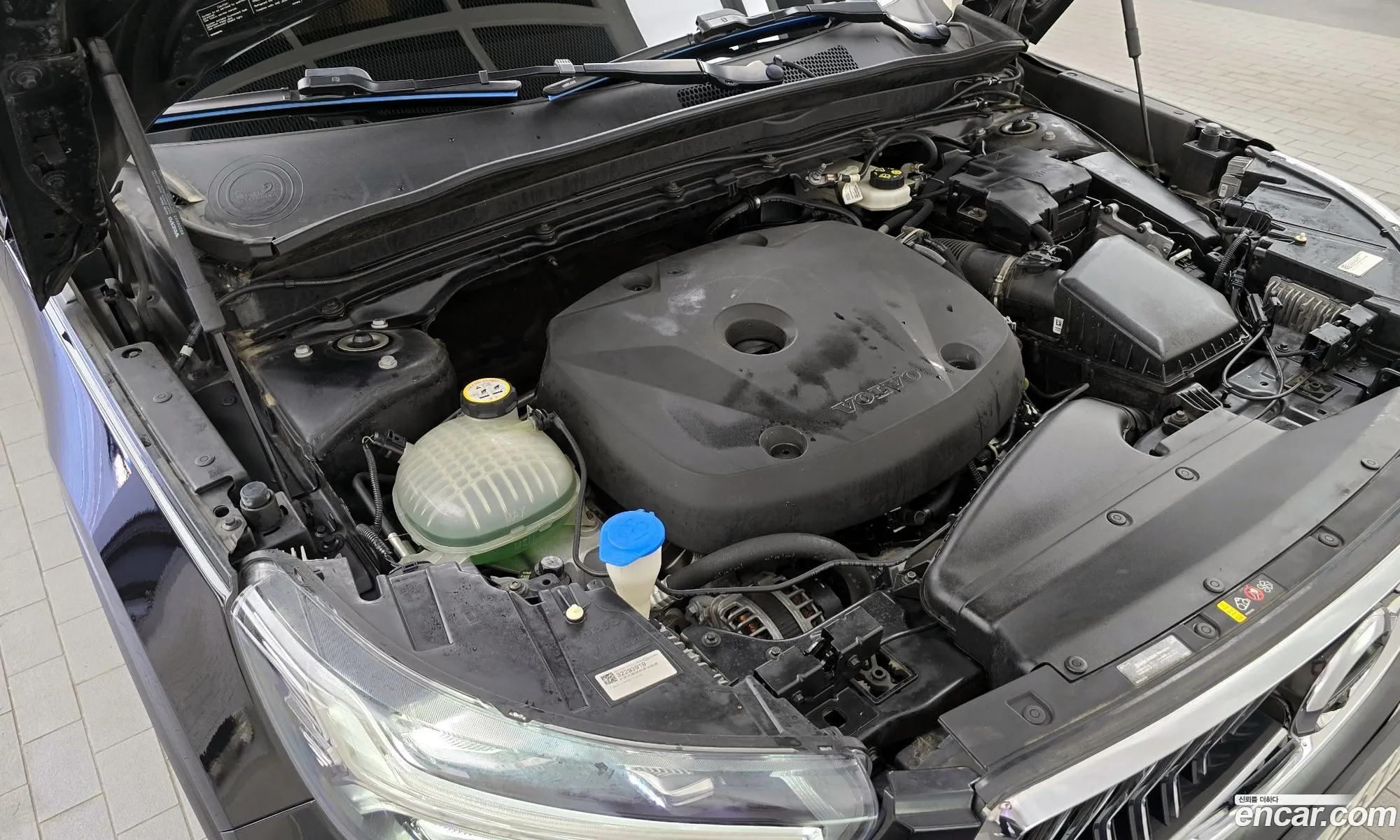 Volvo Xc40 T4 Inscription - фотография 6339060