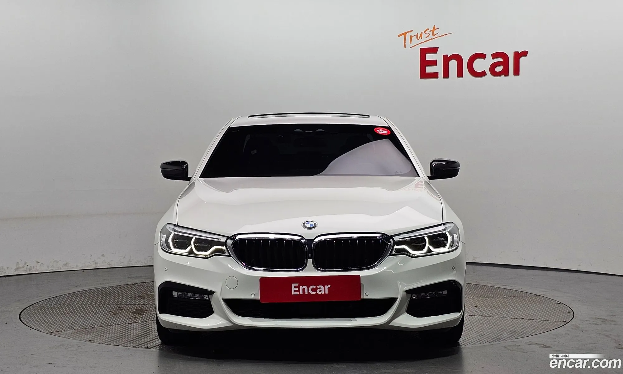 BMW 5 Series G30 520D xDrive M Sport Plus - фотография 18081151