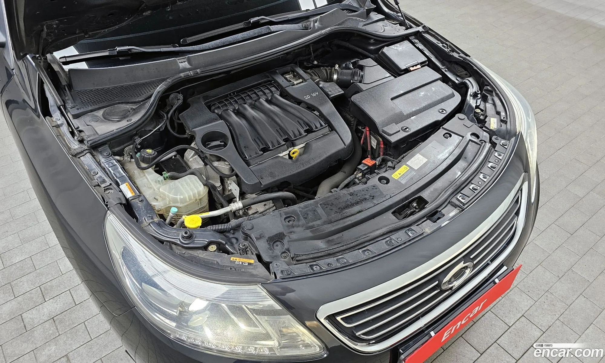 Renault Korea Samsung New Sm5 Platinum Re Basic Type - фотография 6611328