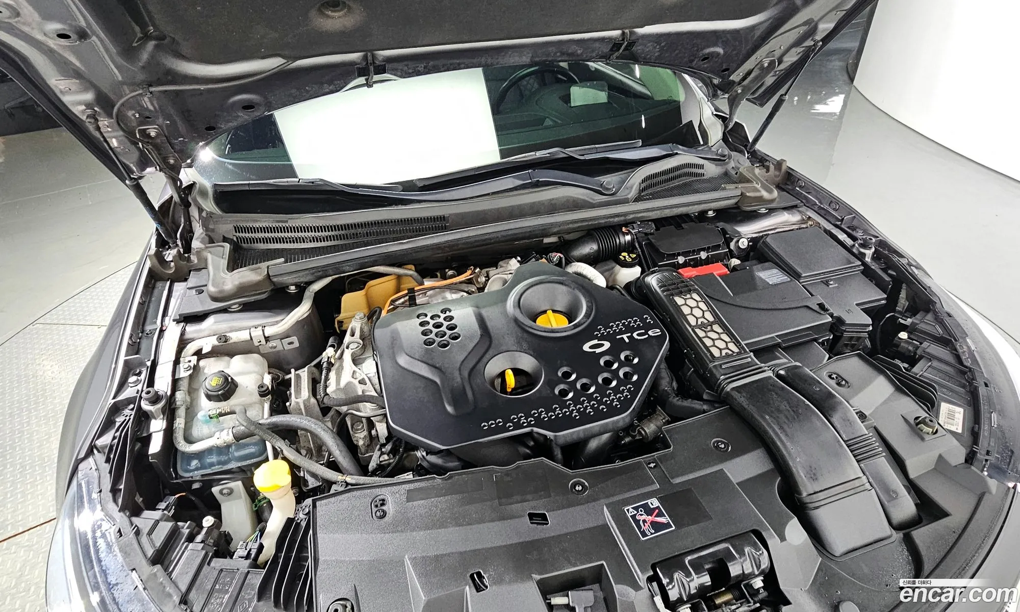 Renault Korea Samsung Sm6 16 Tce Re - фотография 19129831