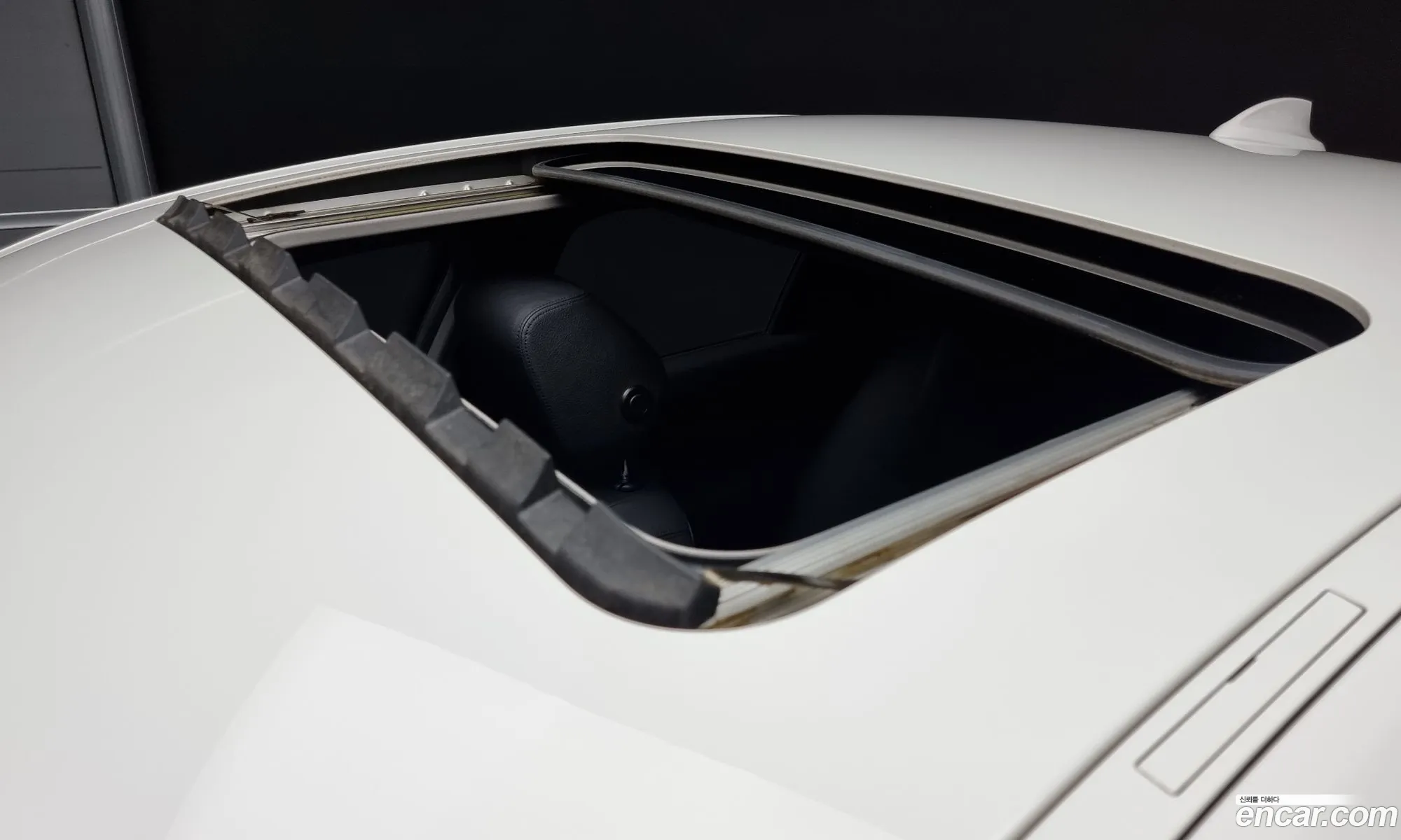 Korex Auto Trade - фотография 18122459