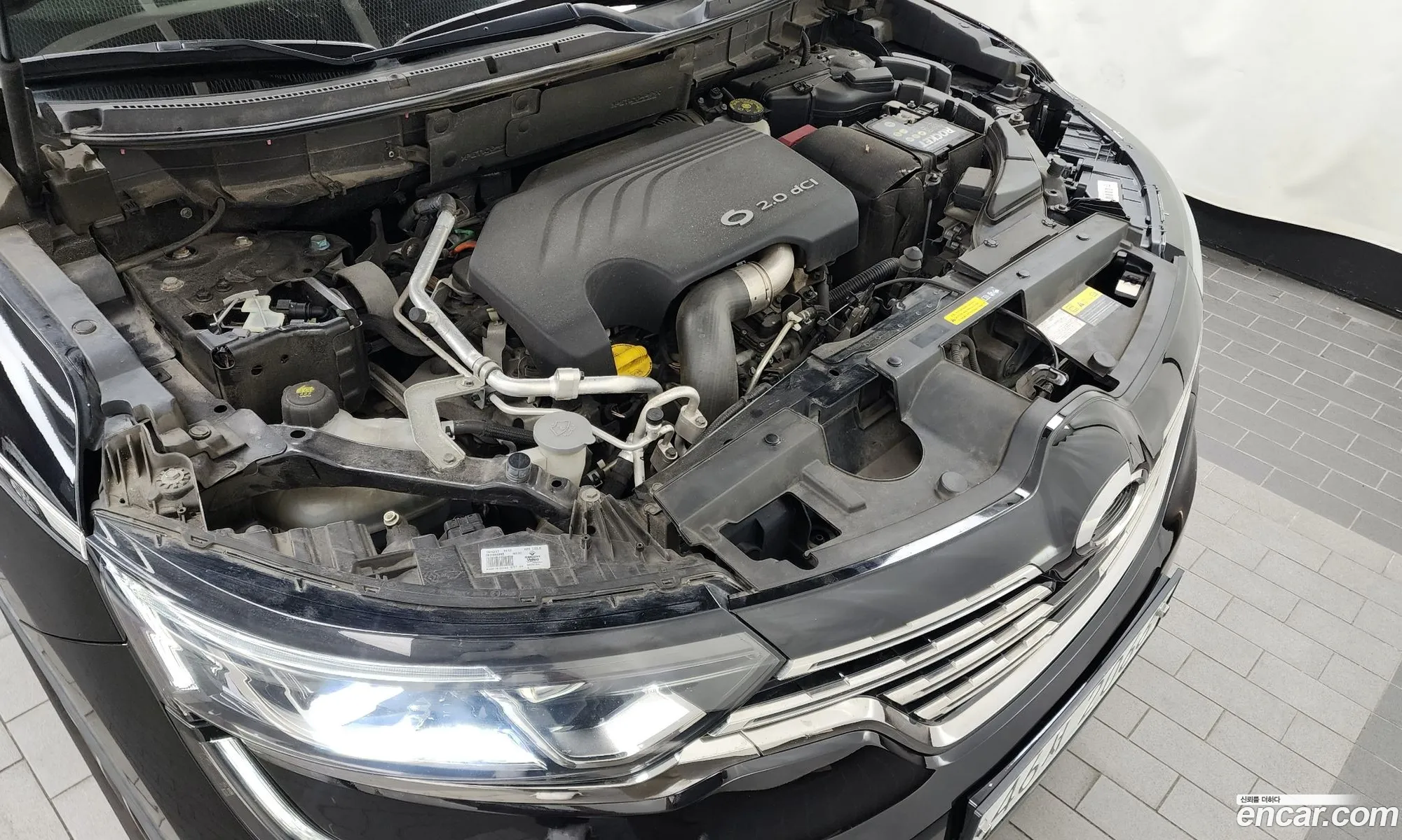 Renault Korea Samsung Qm6 Diesel 4Wd Re Signature - фотография 19513146