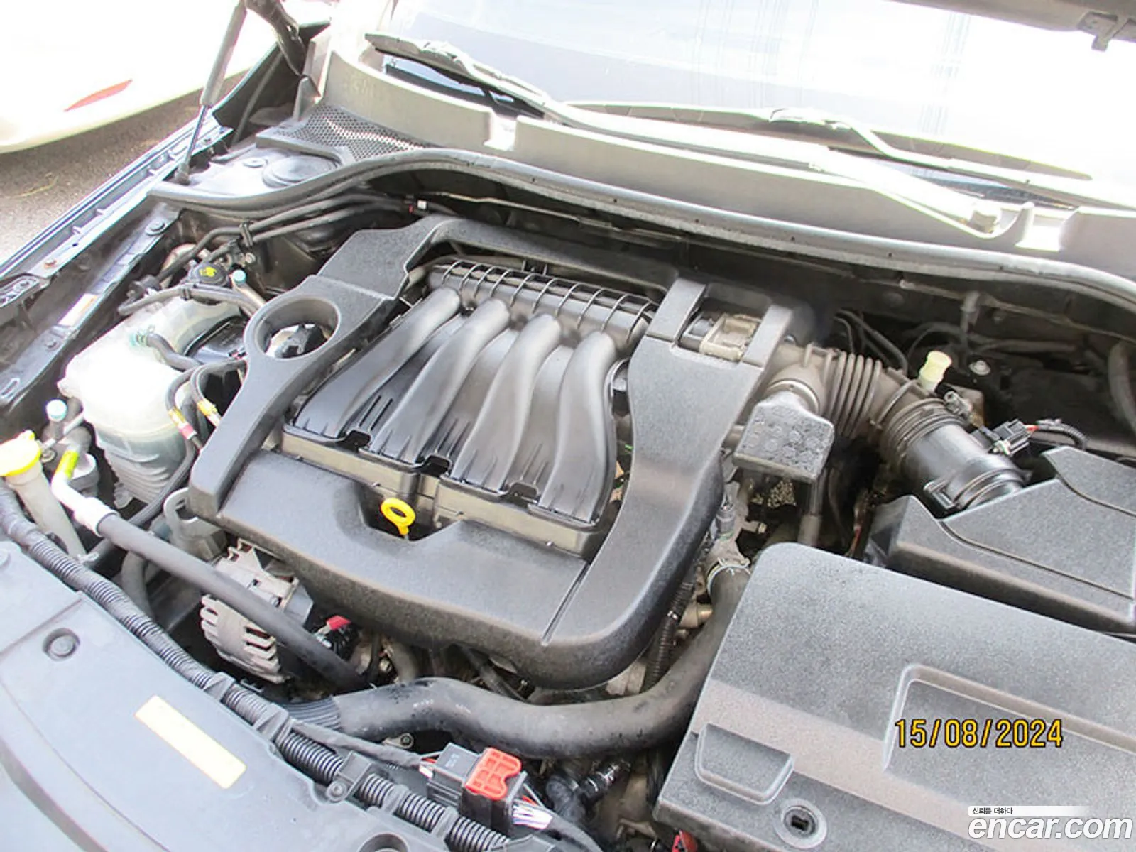 Renault Korea Samsung Sm5 Nova Lpli Le - фотография 6602317